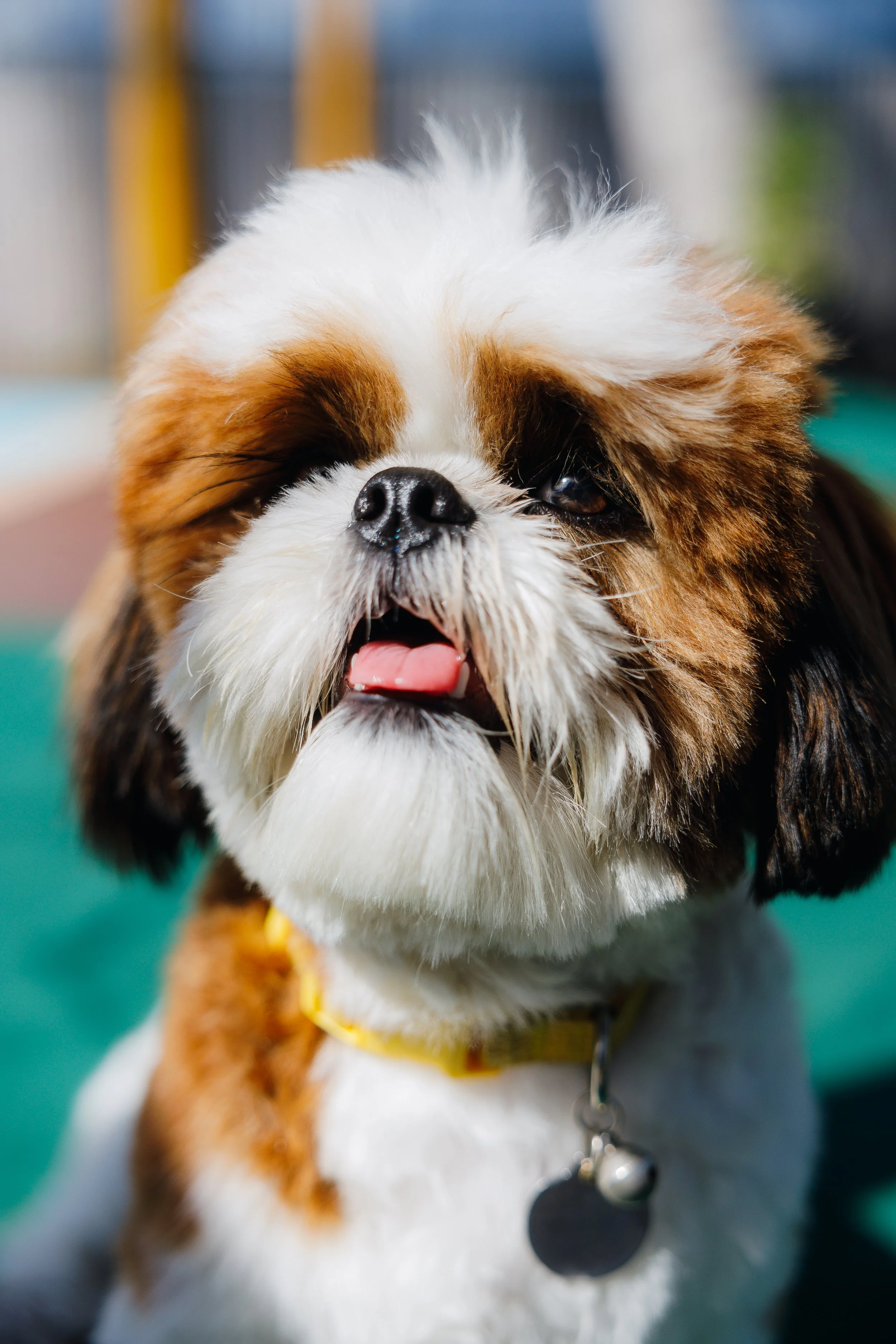 Selina_Thailand_F&B_Drinks_02-2025_Photographer_BauwensAmelie_ -69.jpg