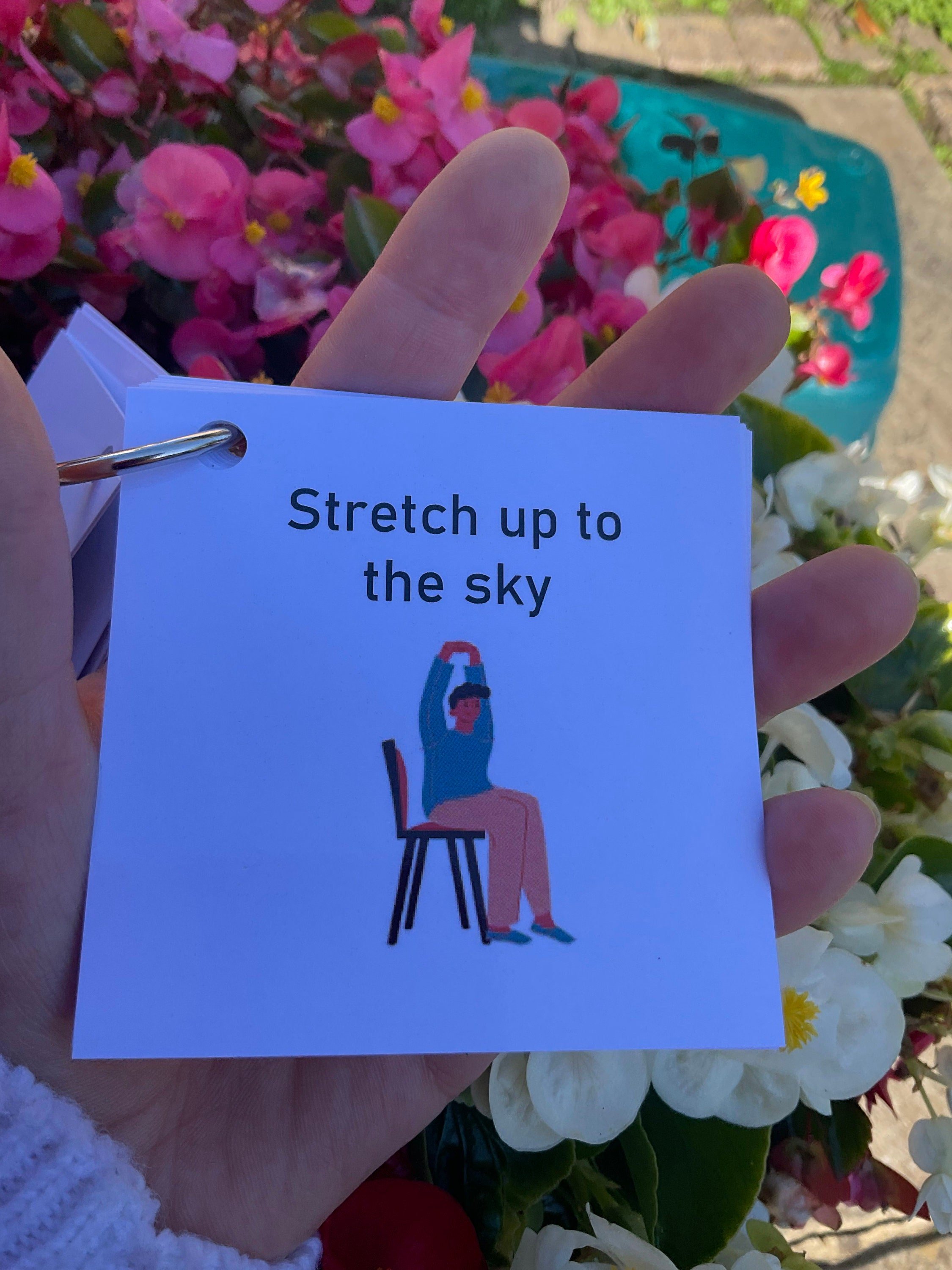 https://i.etsystatic.com/35580102/r/il/f7fb31/4233126490/il_fullxfull.4233126490_d582.jpg
