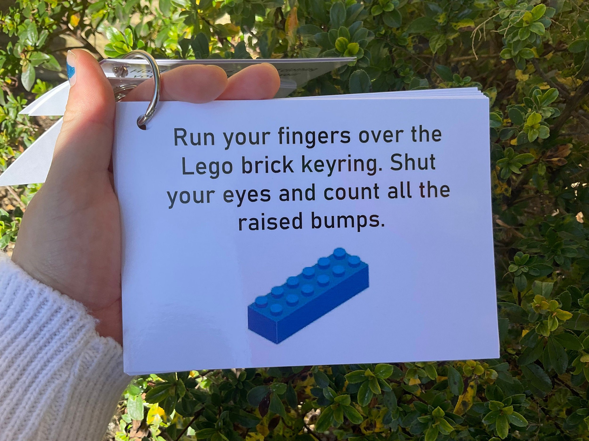 https://i.etsystatic.com/35580102/r/il/954c03/4280797637/il_fullxfull.4280797637_o25e.jpg