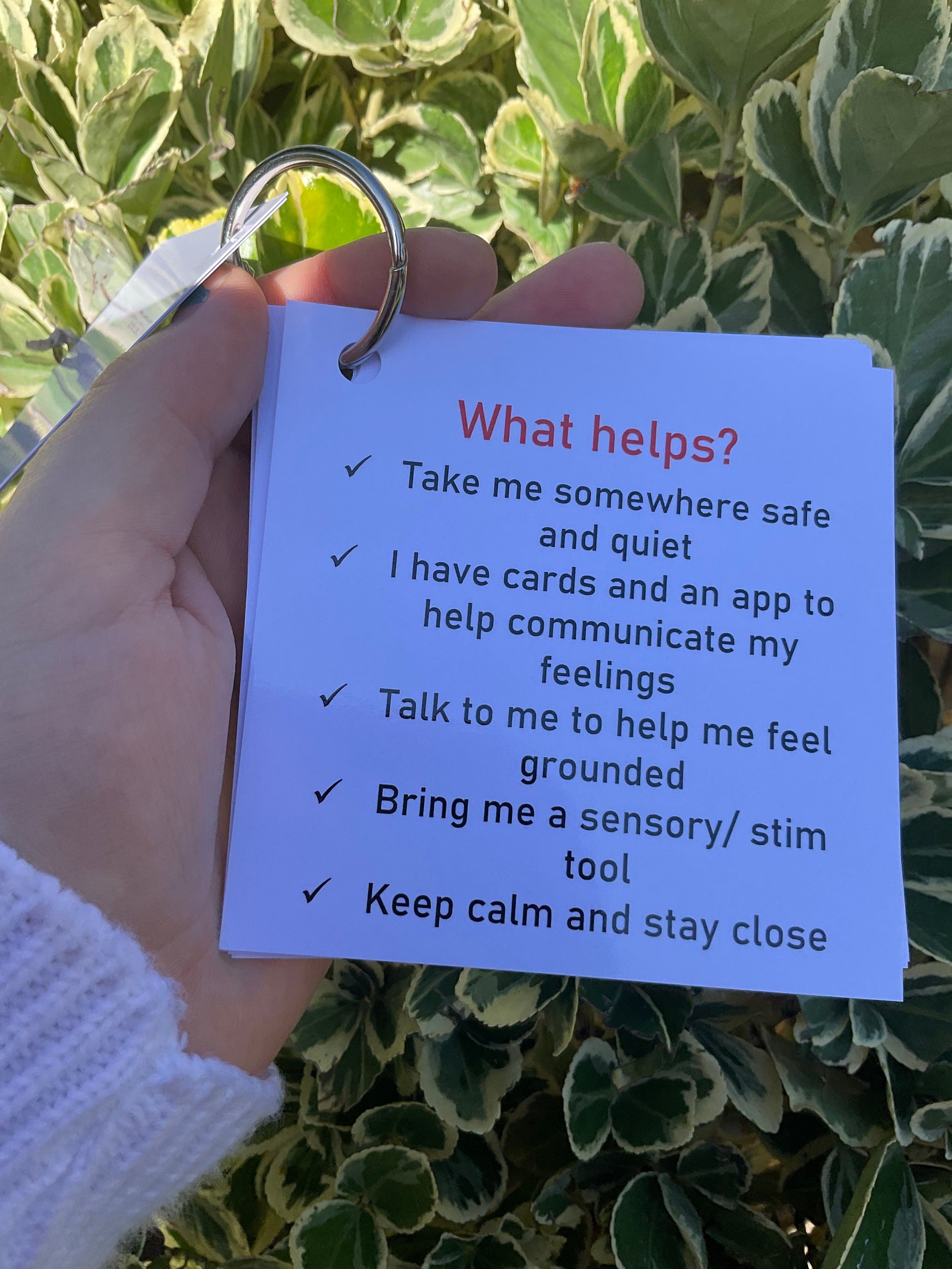 https://i.etsystatic.com/35580102/r/il/9db37e/4233156928/il_fullxfull.4233156928_doee.jpg