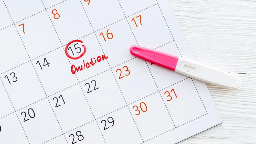 Discover the Top 5 Signs of Poor Egg Quality — Dr. Angela Potter I PCOS