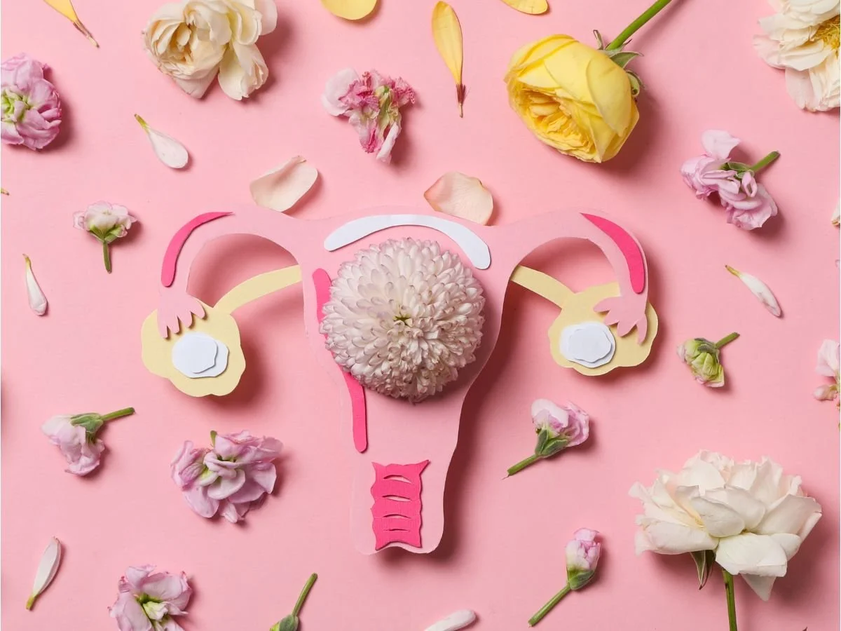 The Ultimate Guide: Everything You Need to Know About Egg Quality and PCOS Fertility