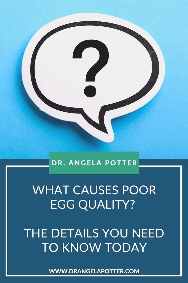 What Causes Poor Egg Quality? The Details You Need to Know — Dr. Angela