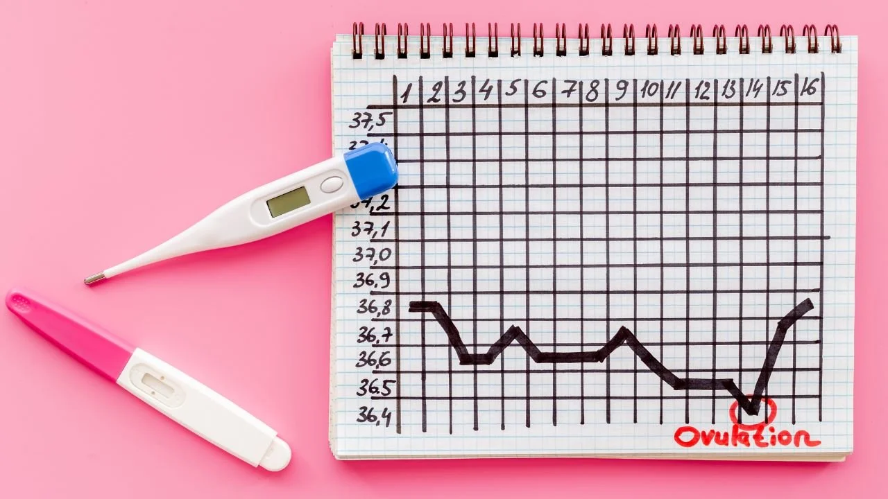 How Do I Know if I'm Not Ovulating? 5 Methods So You Know — Dr. Angela