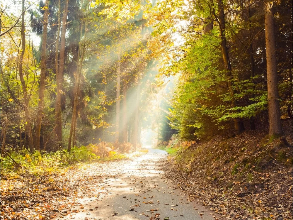 Can You Get Pregnant With Ovarian Cysts? What You Need to Know