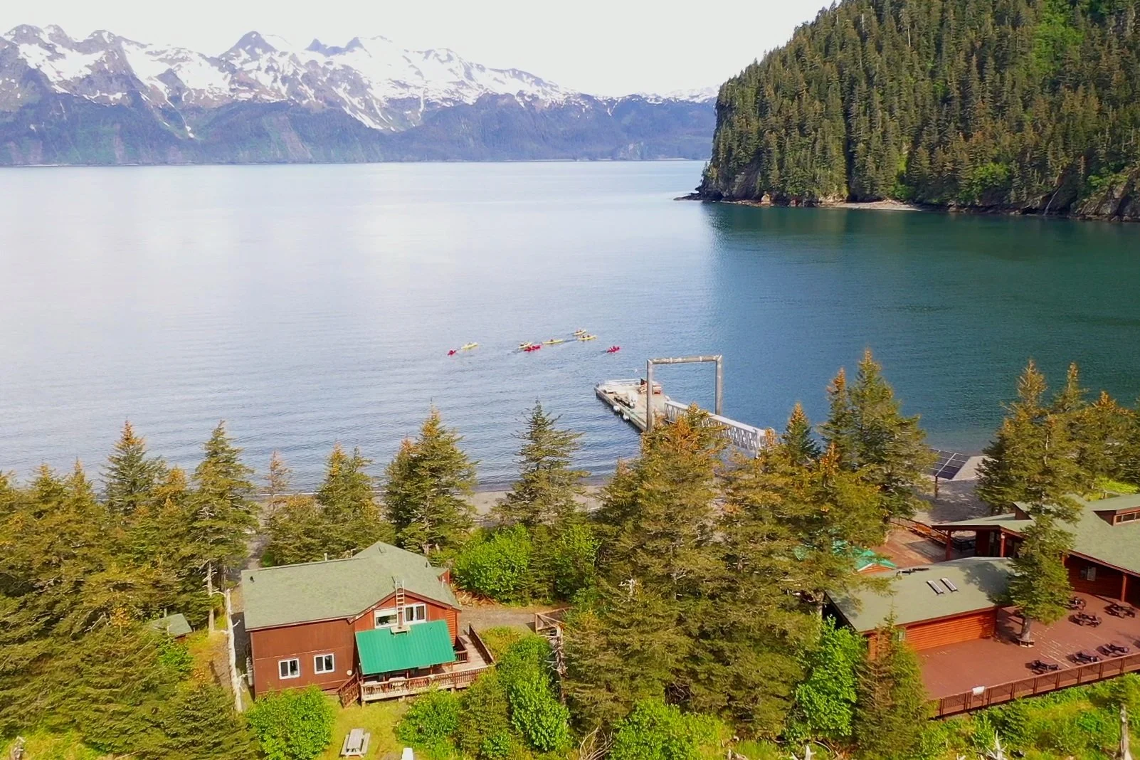 Fox Island Tours Sunny Cove Kayaking, Hiking, Wildlife & Glacier