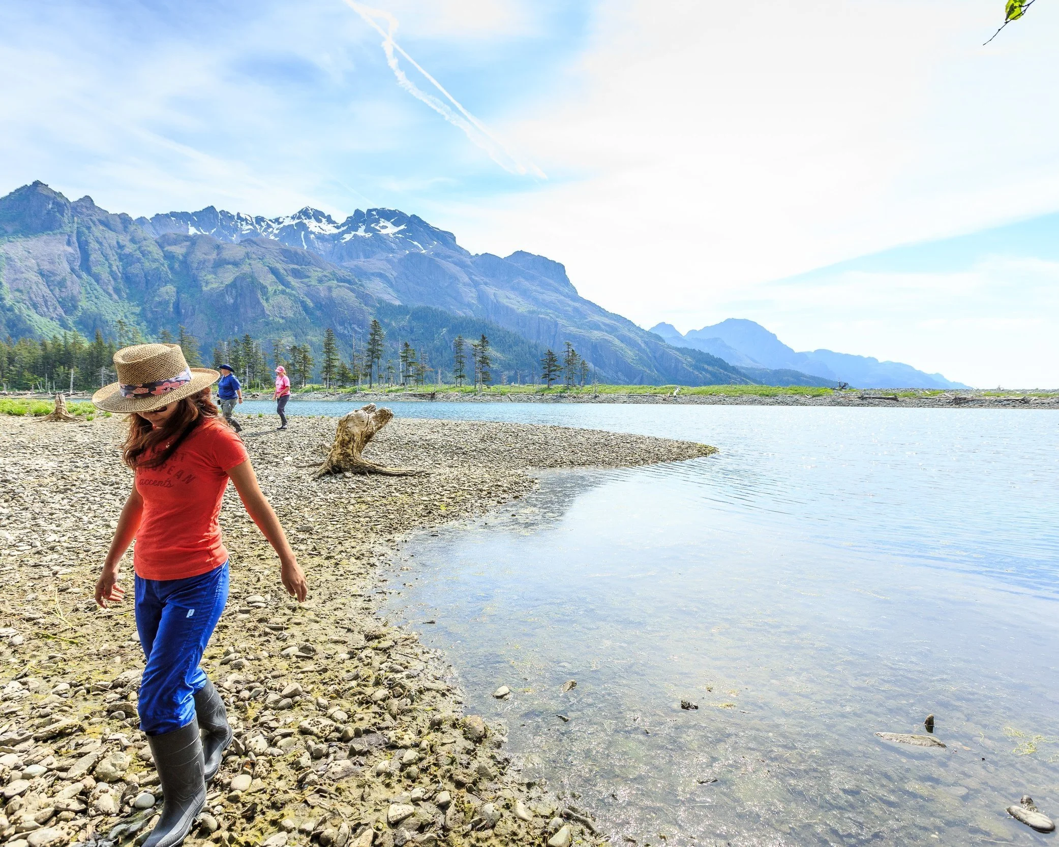 Fox Island Tours Sunny Cove Kayaking, Hiking, Wildlife & Glacier