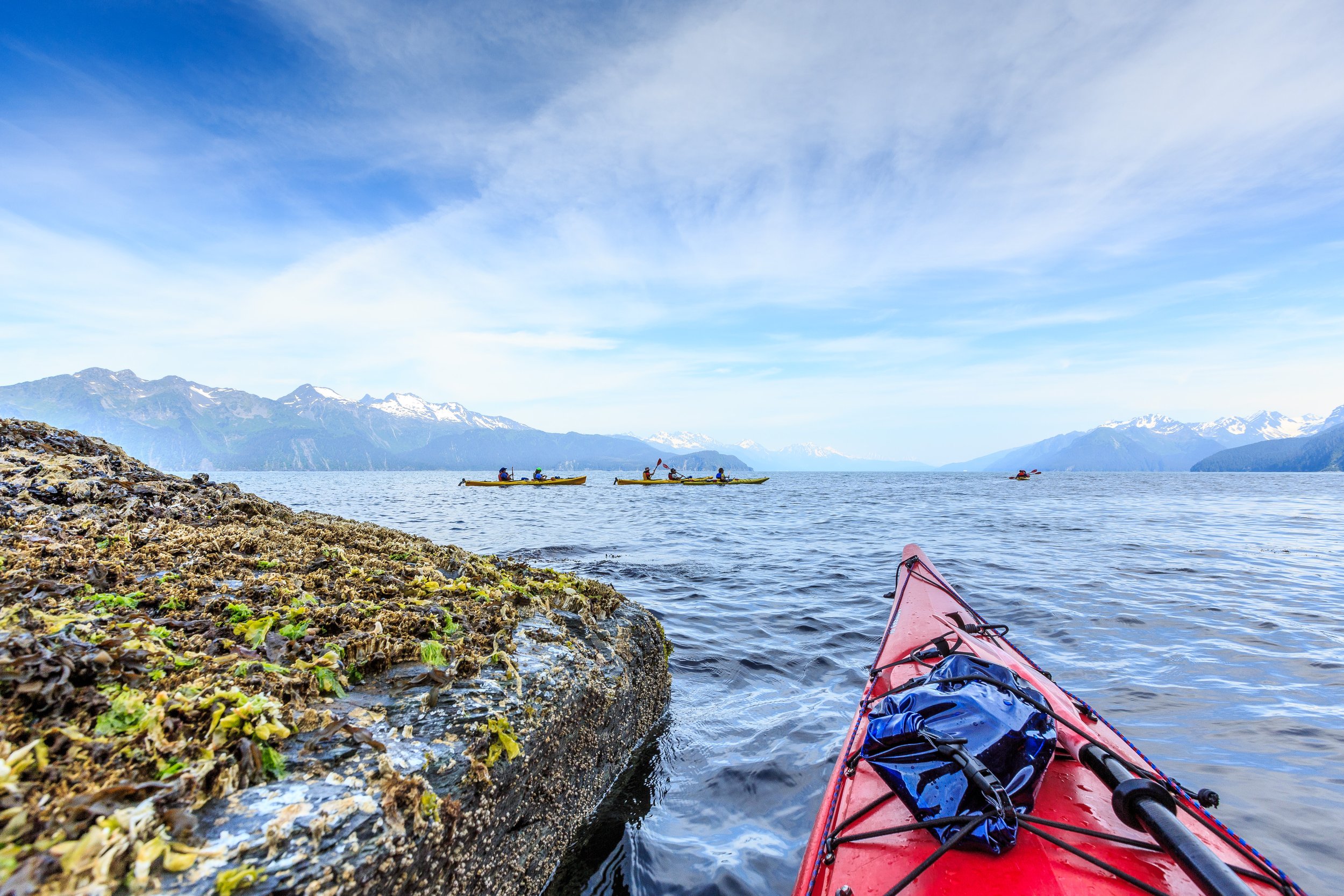 Fox Island Tours Sunny Cove Kayaking, Hiking, Wildlife & Glacier