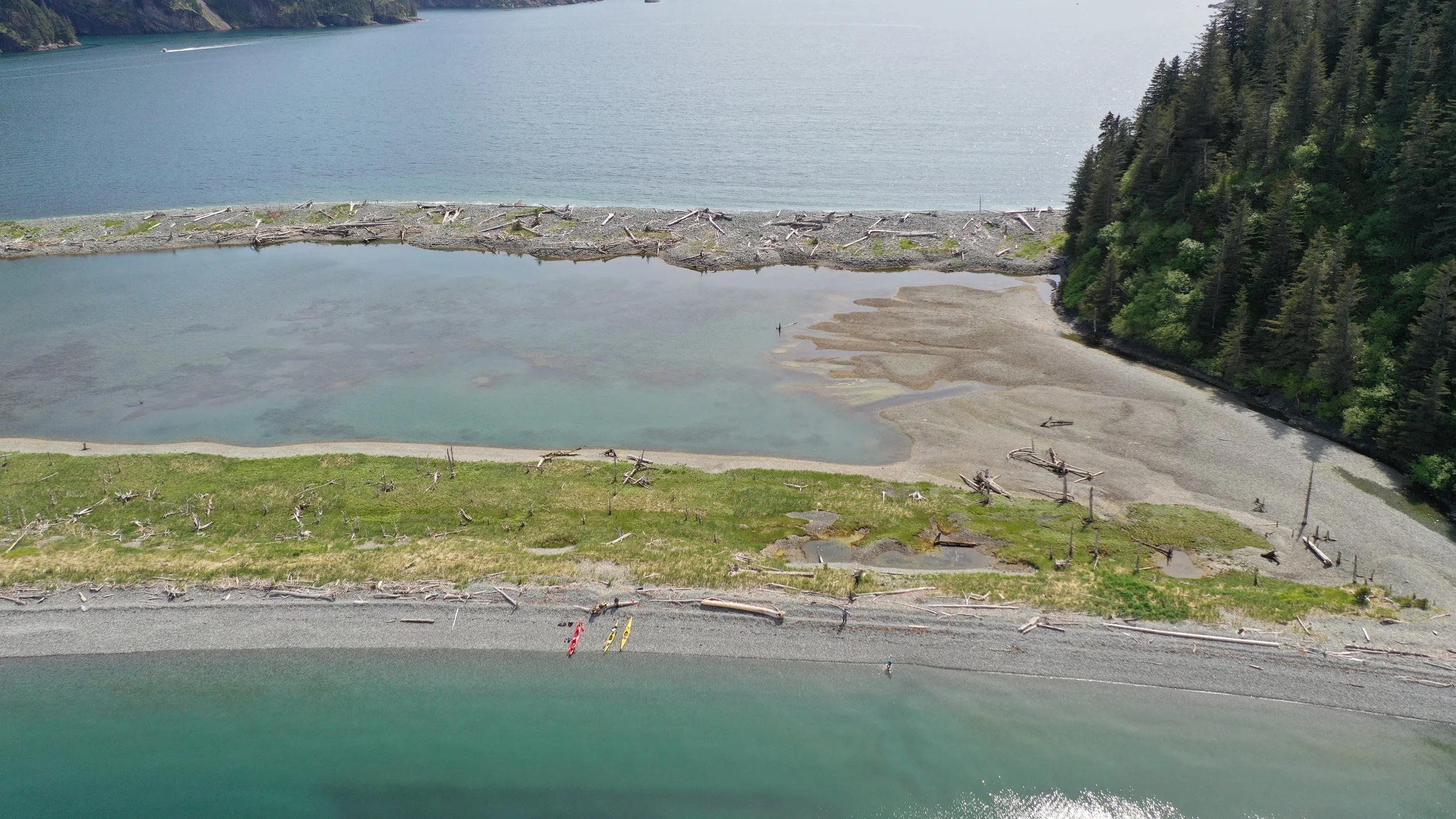 Fox Island Tours Sunny Cove Kayaking, Hiking, Wildlife & Glacier