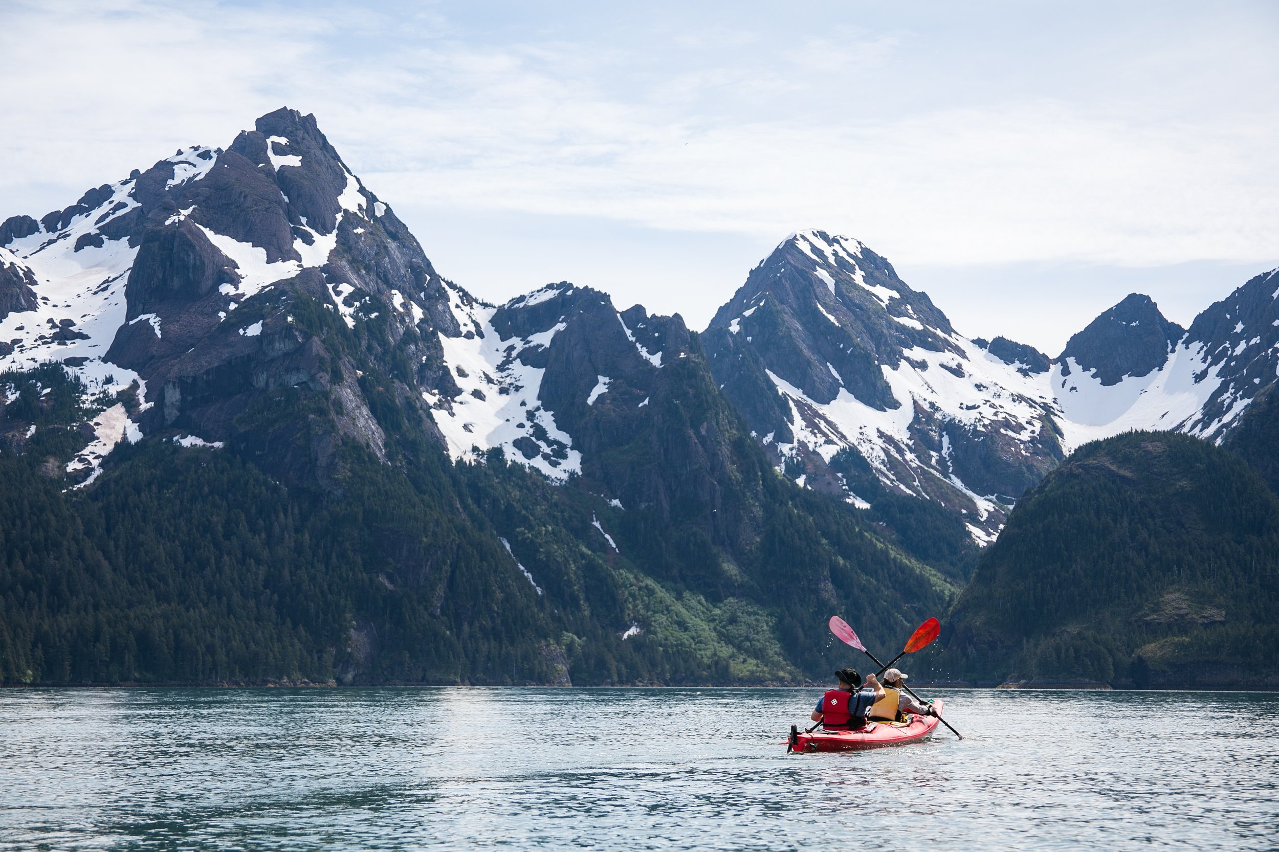 Fox Island Tours Sunny Cove Kayaking, Hiking, Wildlife & Glacier