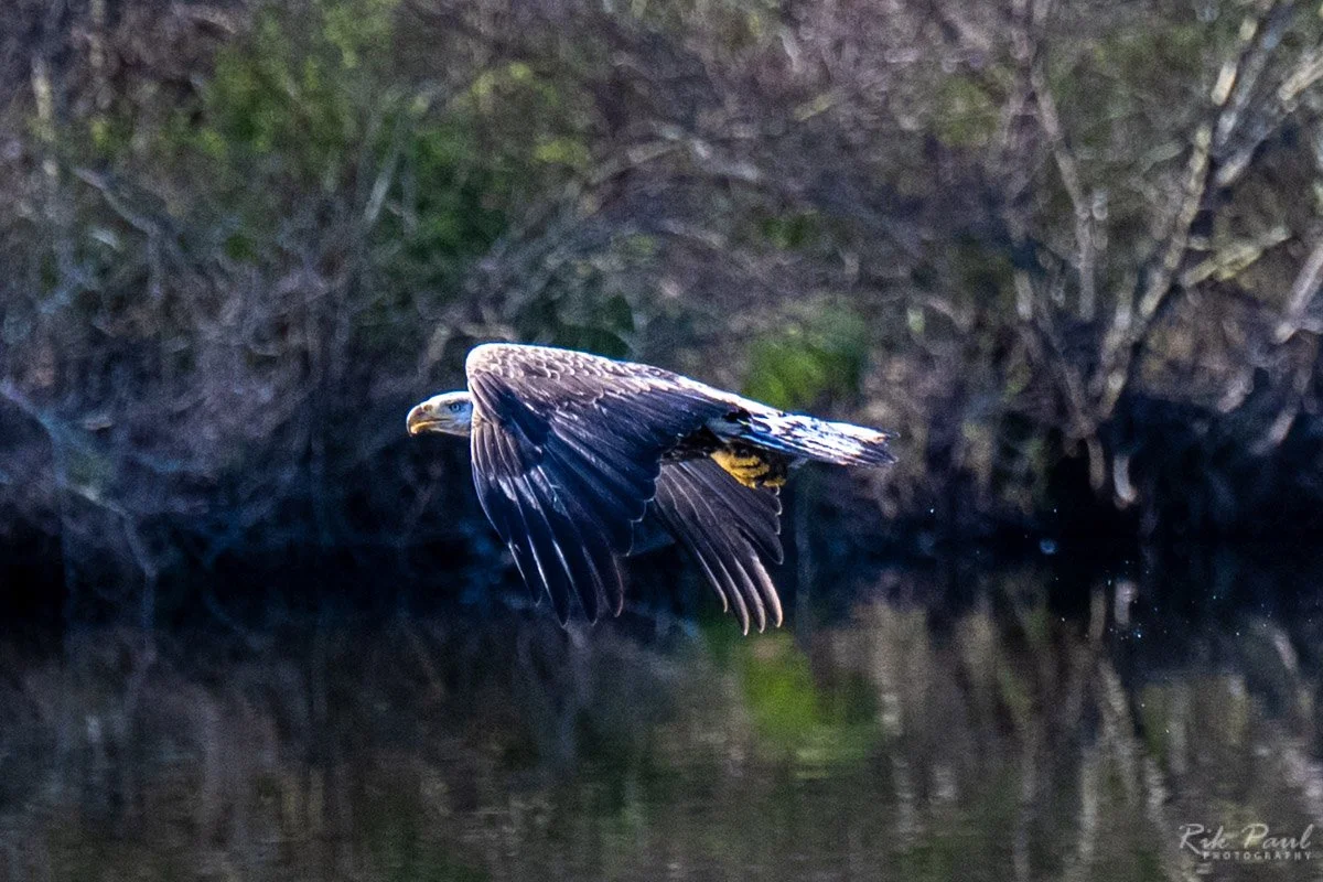 DSC_0761.jpg