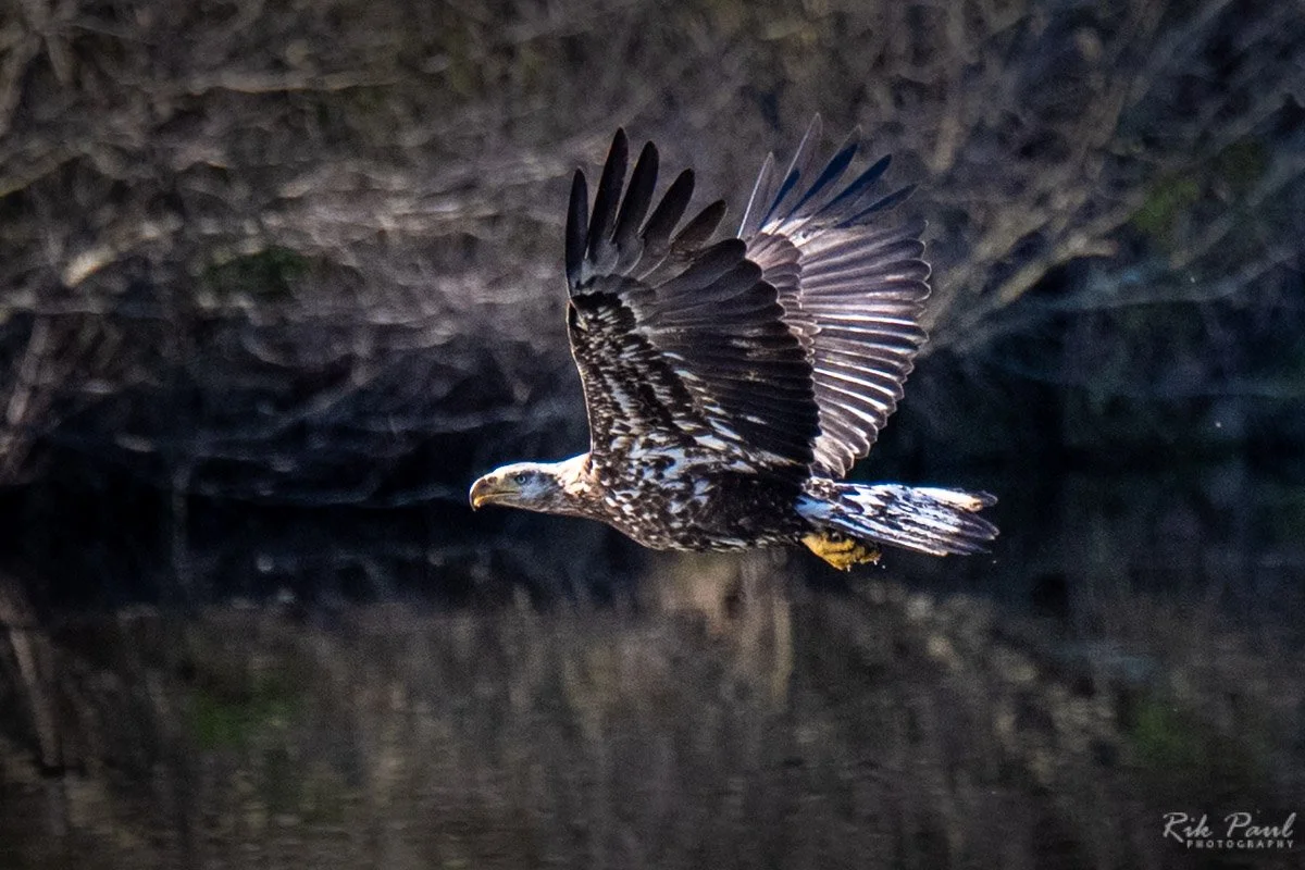 DSC_0760.jpg