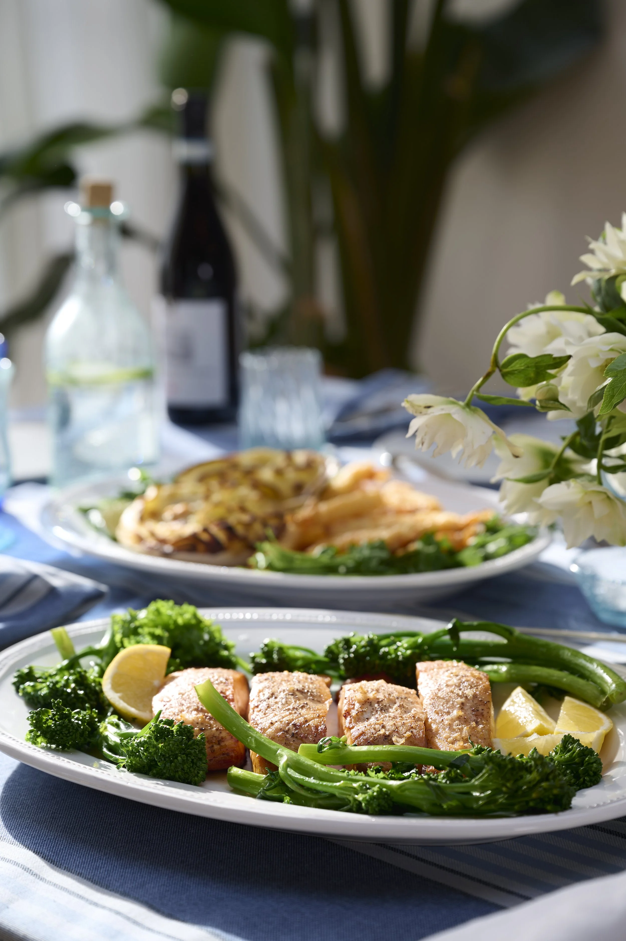 Tom_the_fish ┬®Sarahweal_0614.jpg