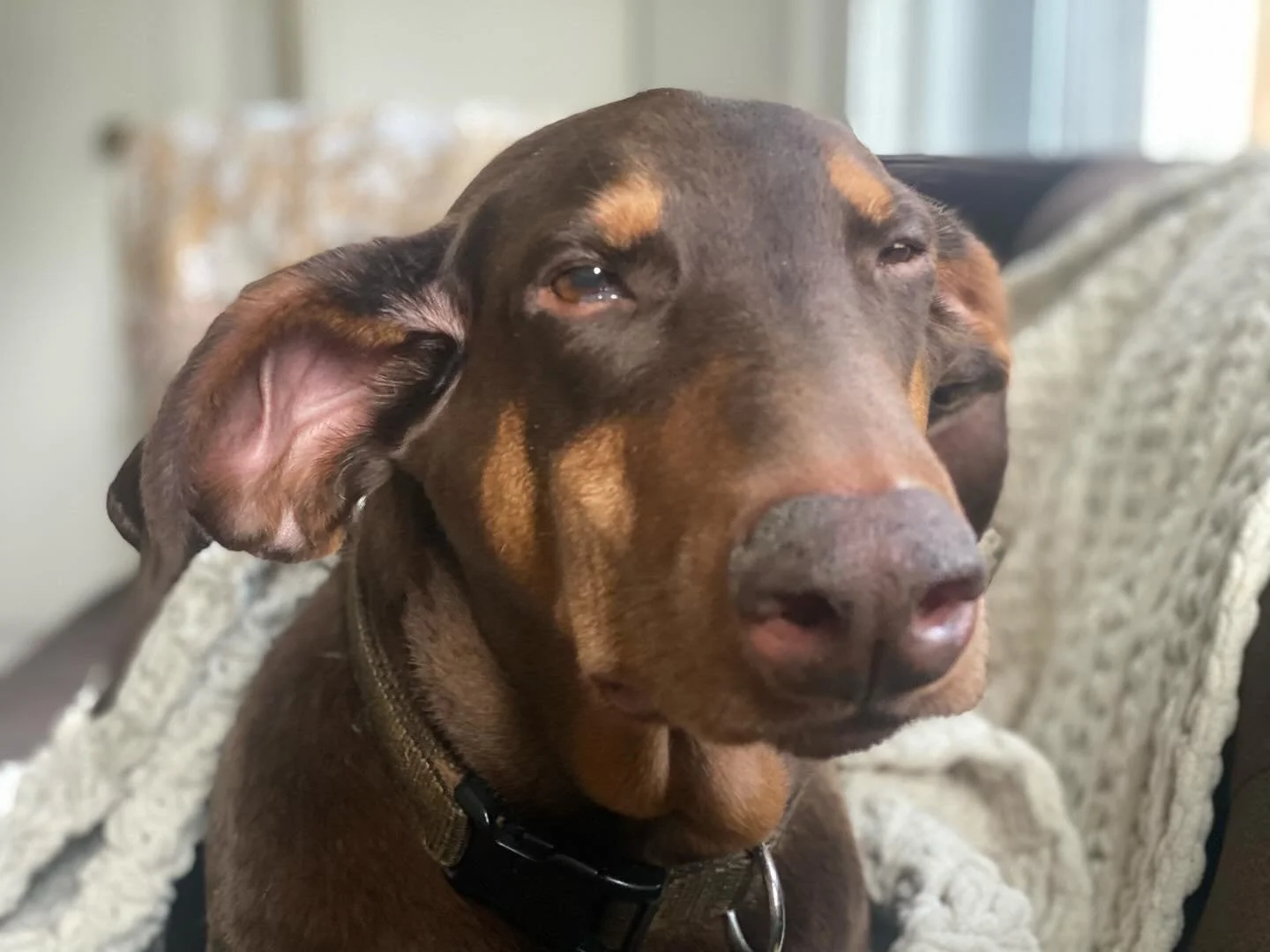 Mid-year staff evaluations. I&rsquo;m sensing some attitude. #slacker