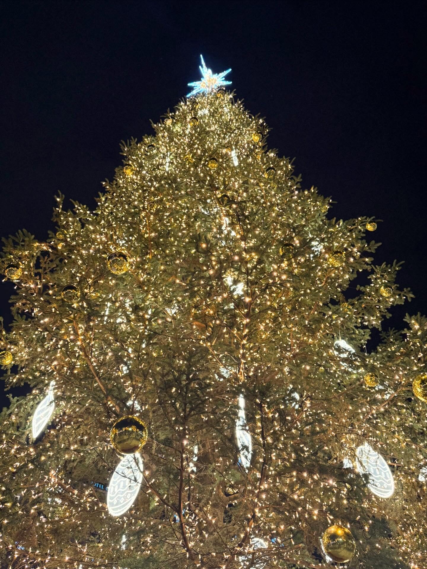 A magic Christmas in Athens 🤍 Thank you to all of my people for a beautiful year!