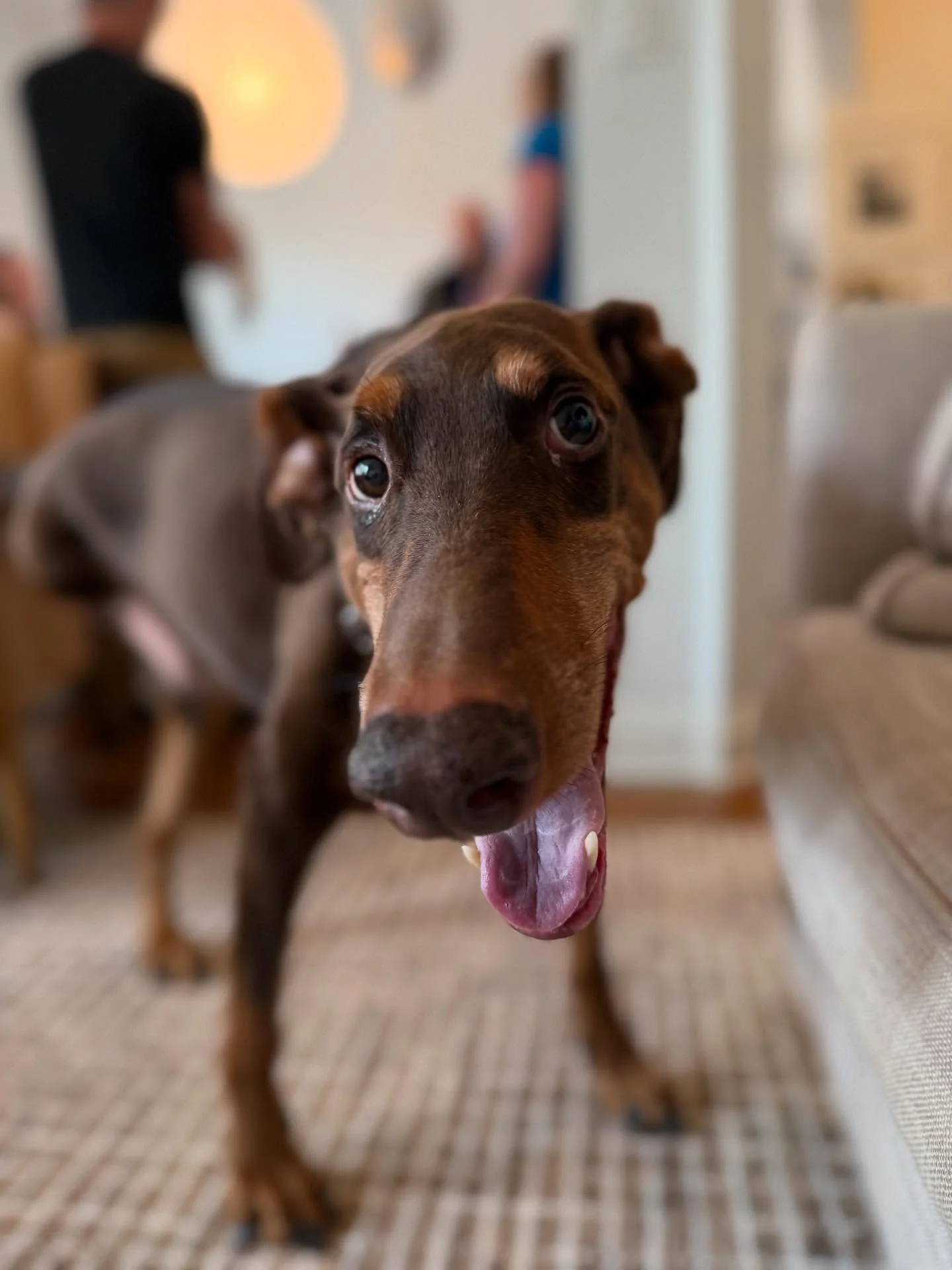 Just a little happiness for your feed today. 🤍