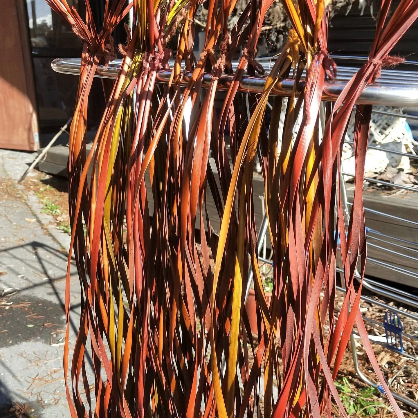 Flax drying.jpg