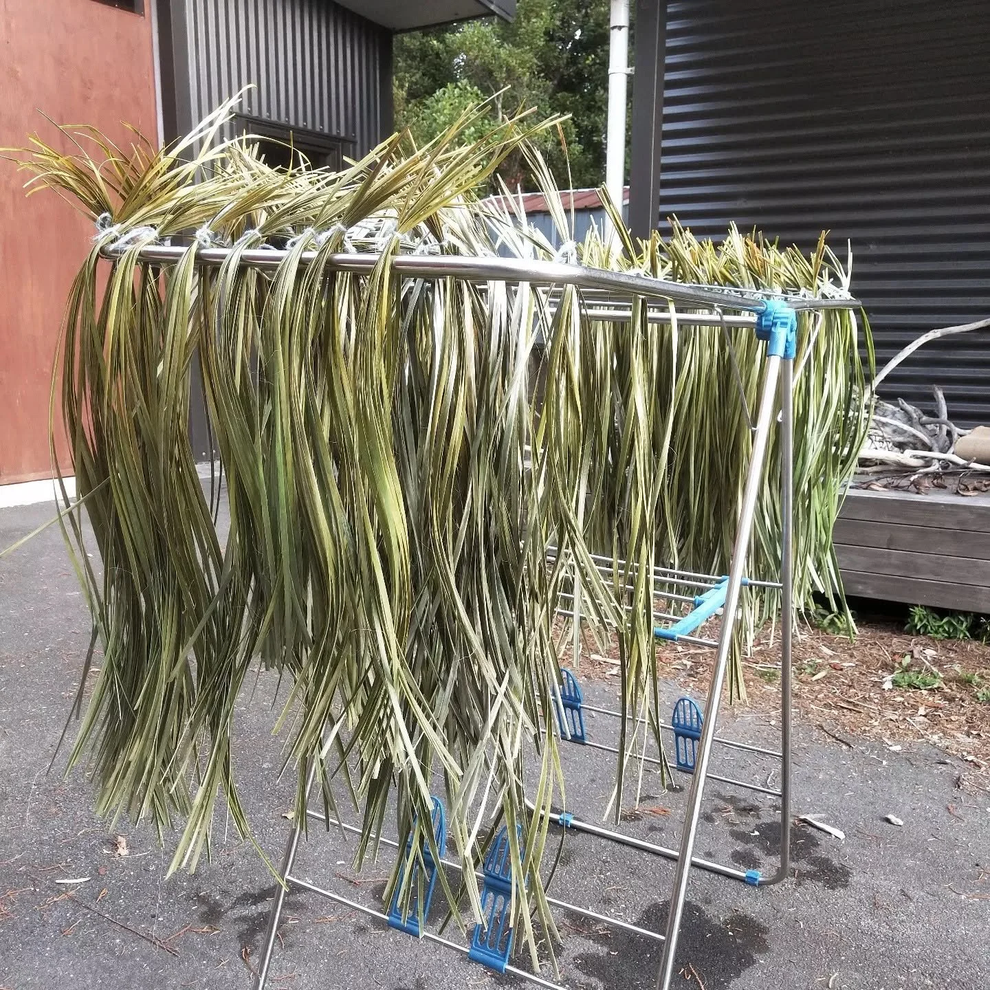 Weaving strips.jpg