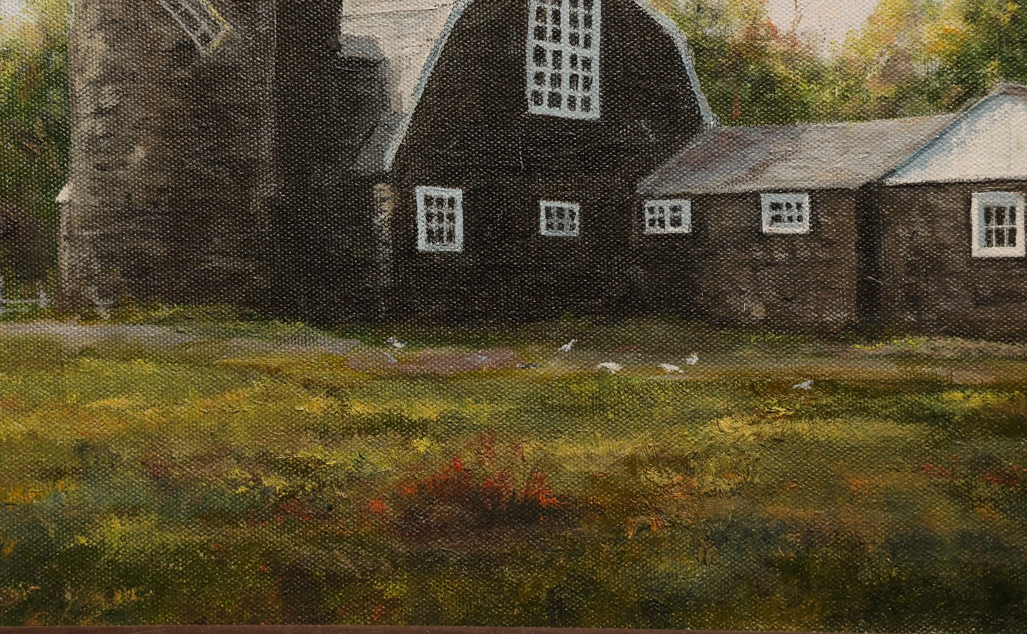 CX1B0858.jpg