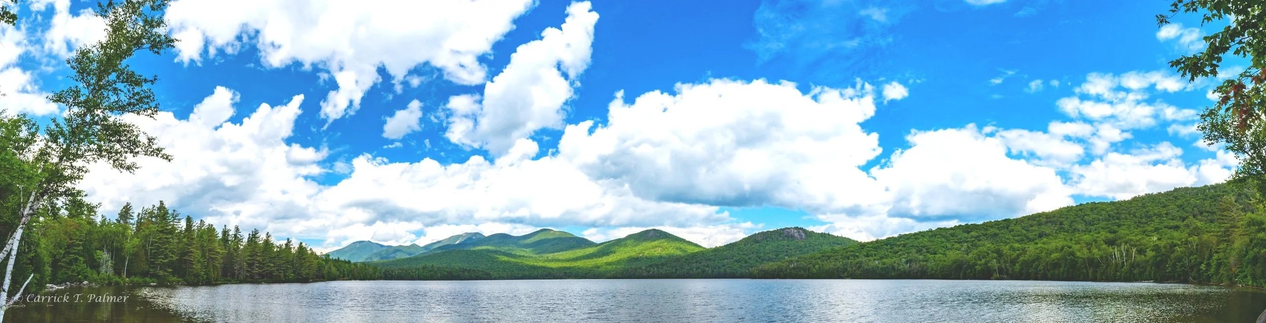 Screen Shot 2022-11-15 at 4.16.01 PM.jpg