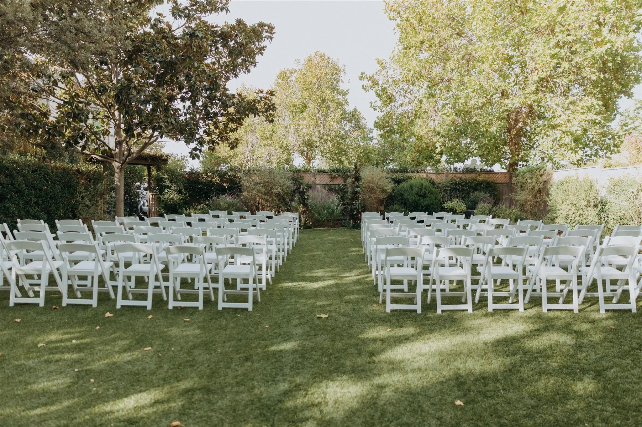 Photo Credit: albanykatz