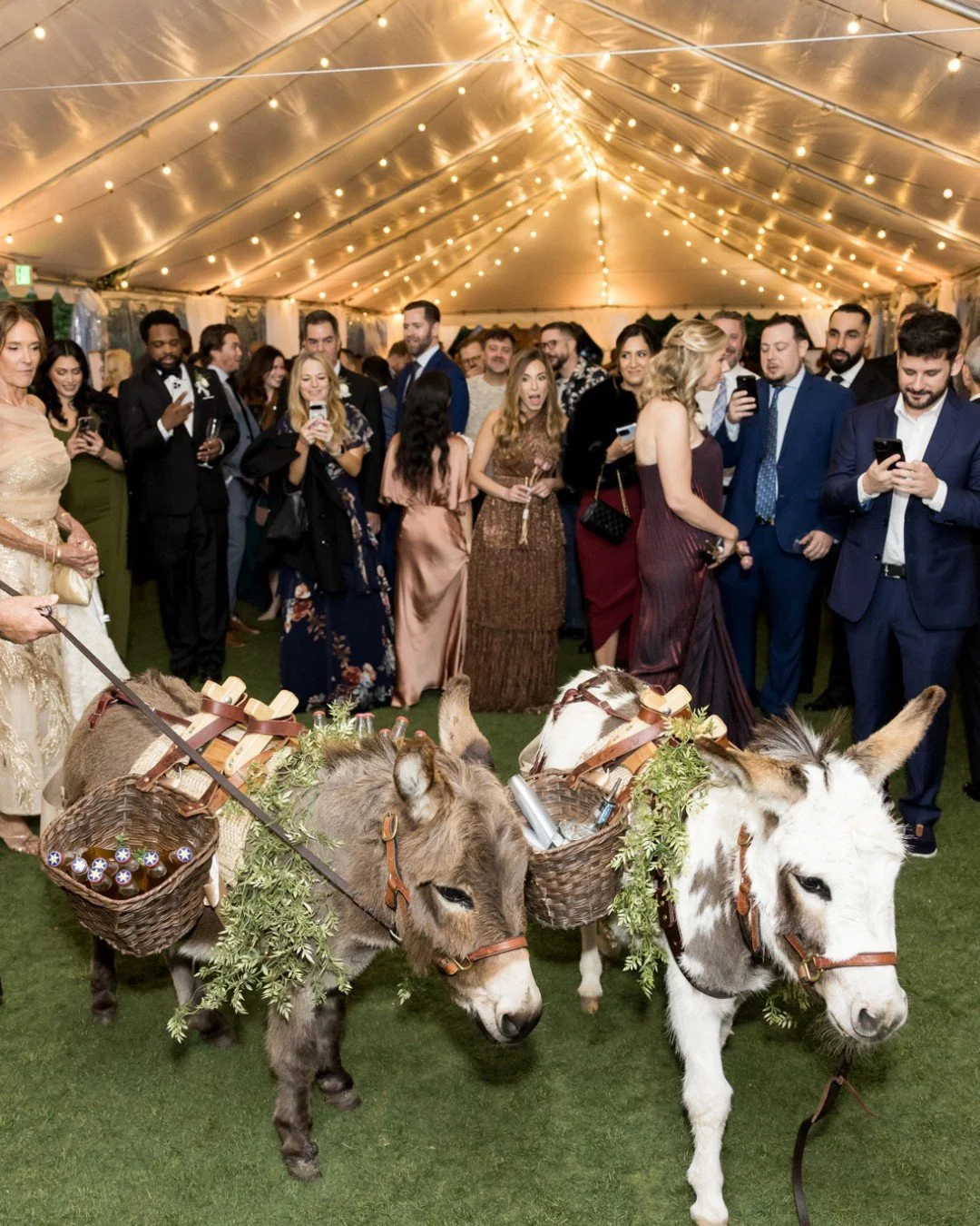 Because nothing says ✨wedding goals✨ like burros with baskets full of booze.

Photography: @michaelsegalphoto
Venue: @thegenevievehotel
Catering: @thevictor_sy
Wedding Planner: Charley at @charleybluebell
Florals: @hepburnandjane
Camera: @leica_camer