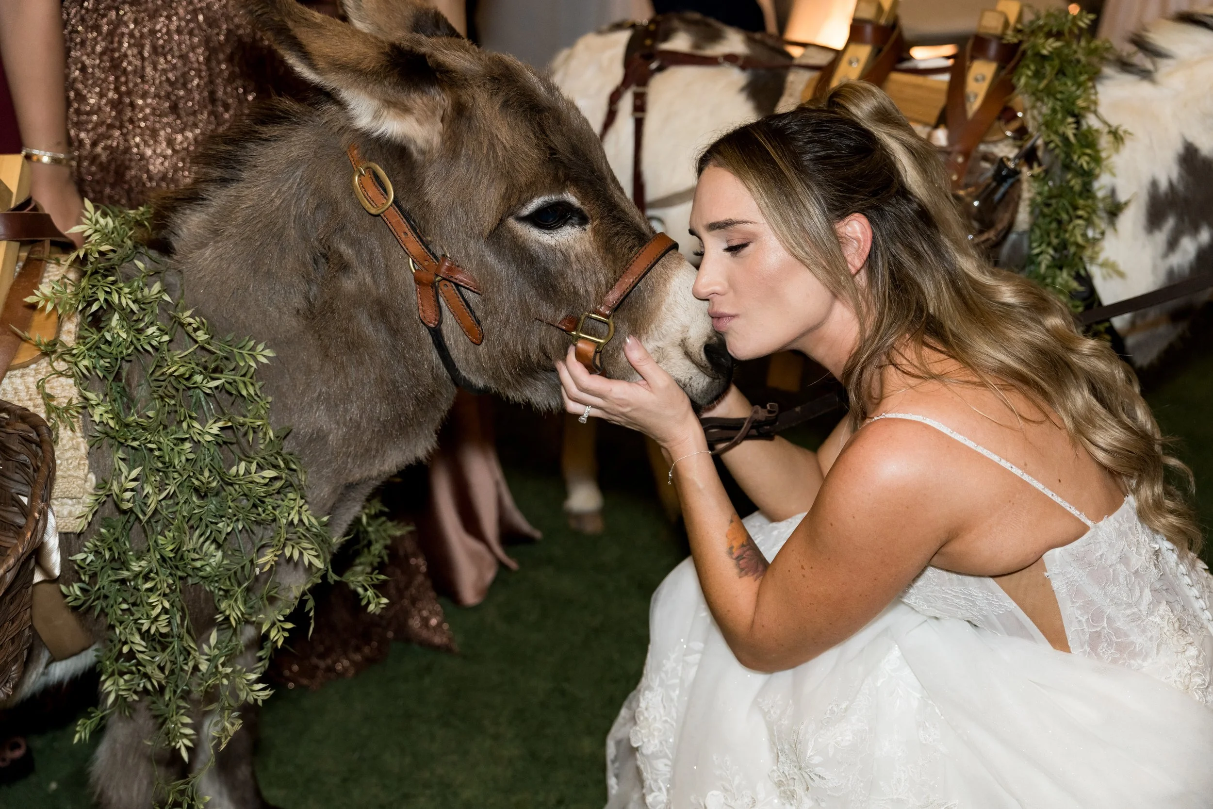 Photo Credit: @michaelsegalphoto