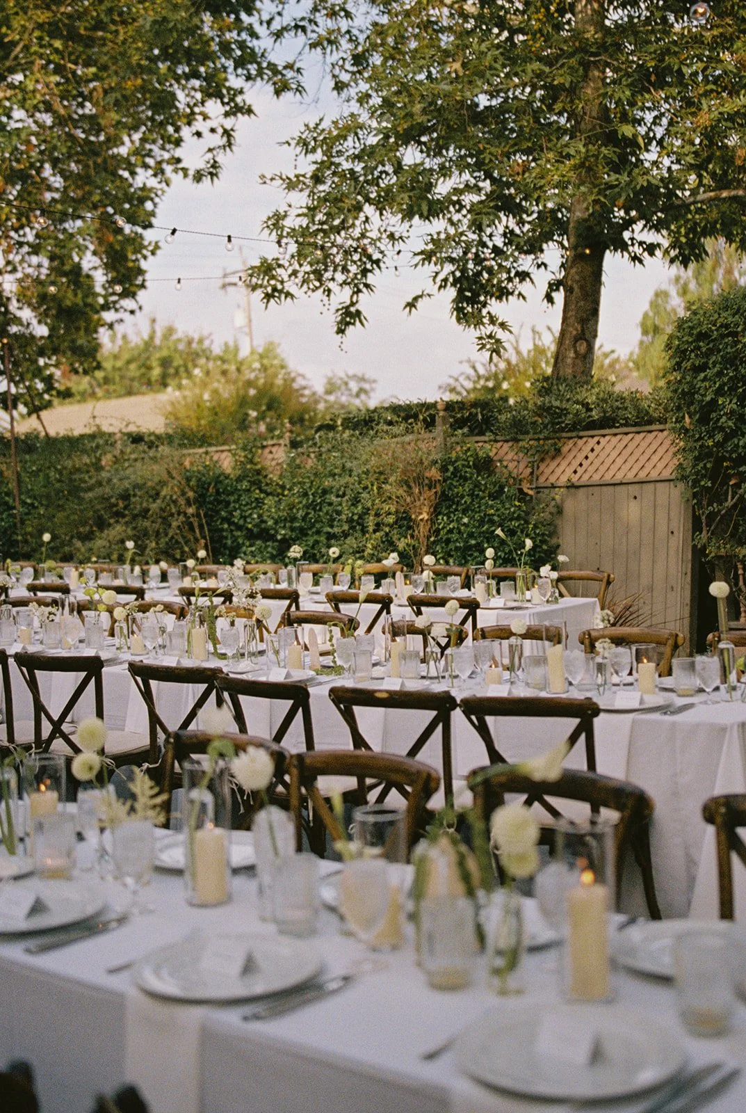 Photo Credit: alyssagaylelawrence