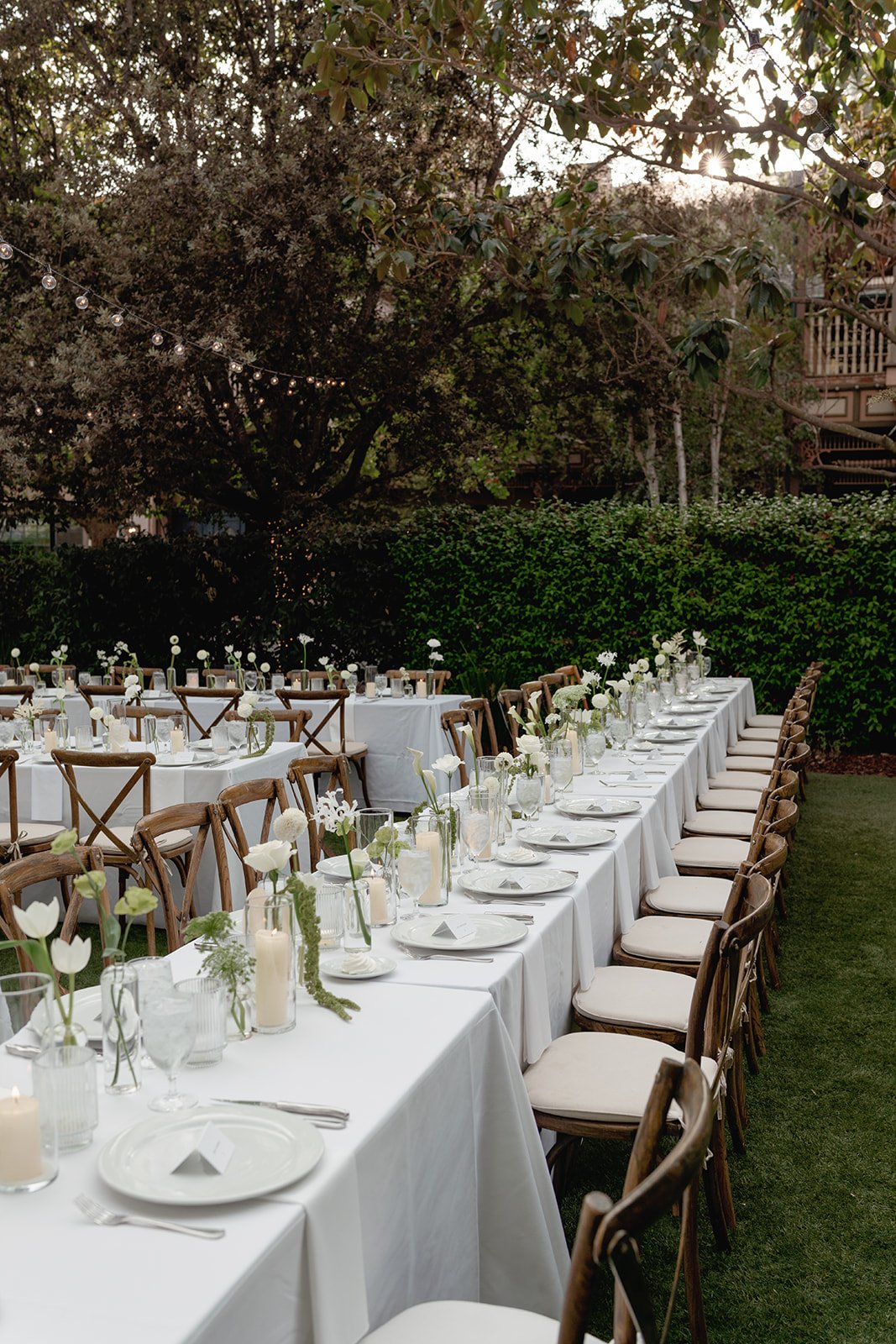 Photo Credit: alyssagaylelawrence