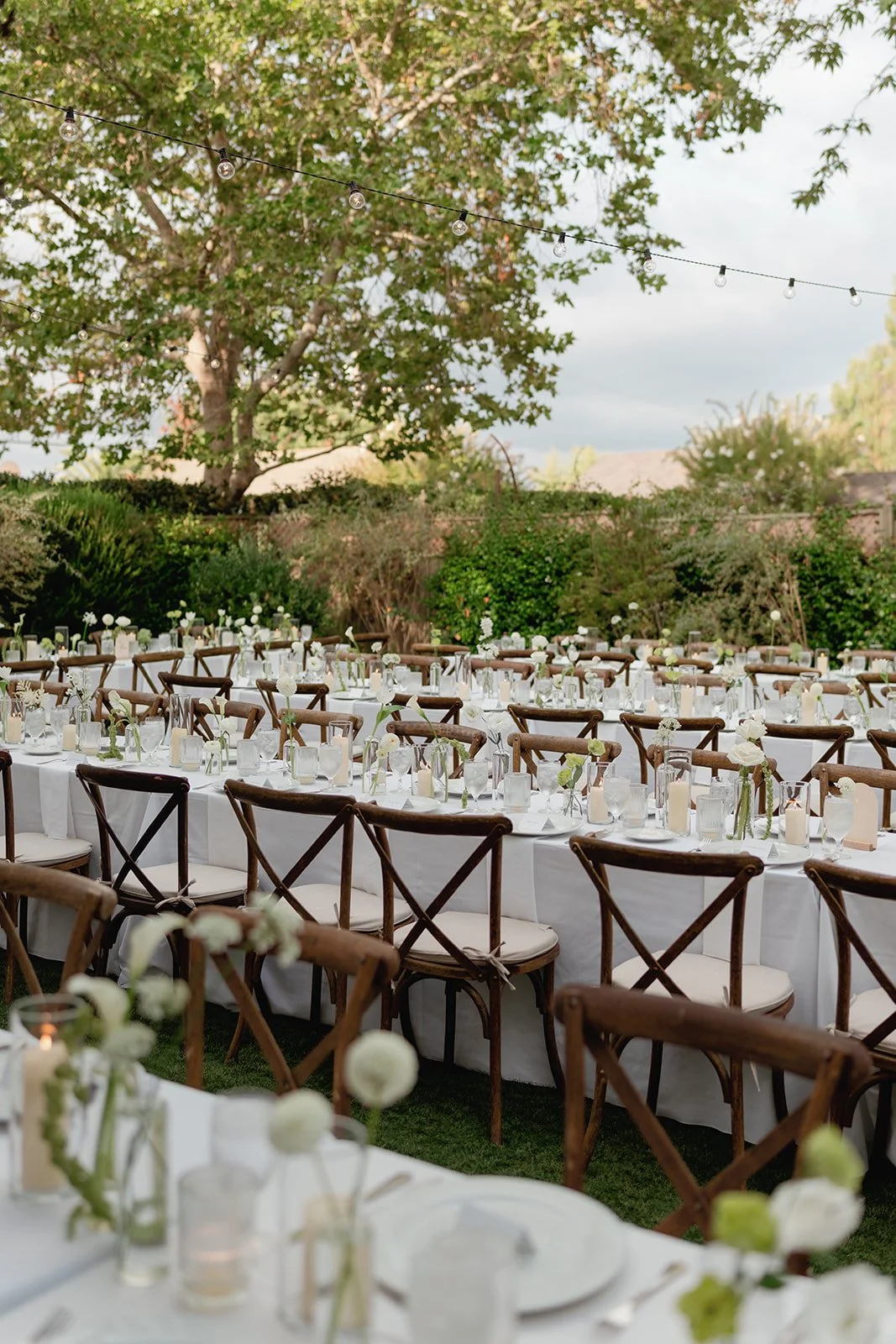 Photo Credit: alyssagaylelawrence