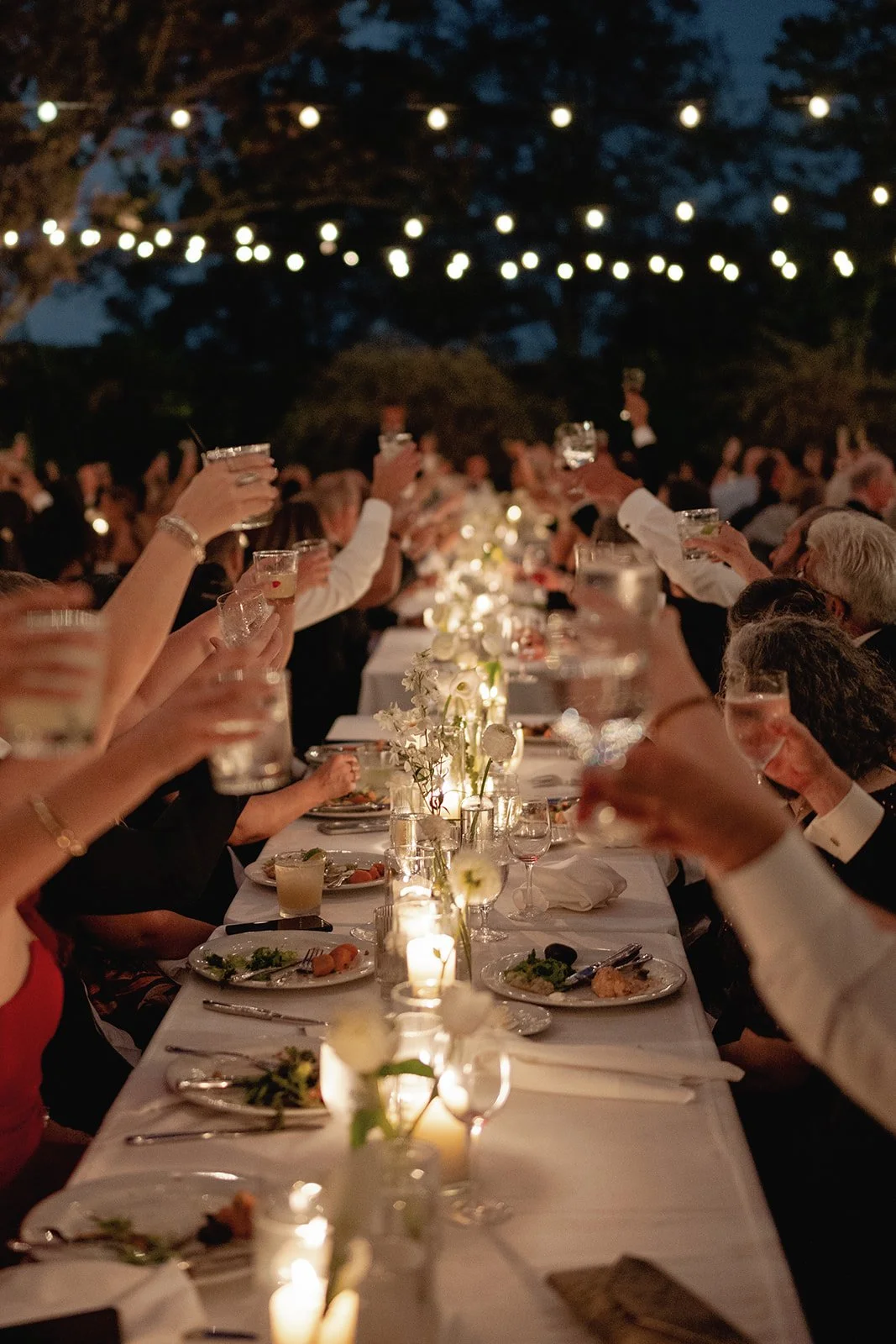 Photo Credit: alyssagaylelawrence