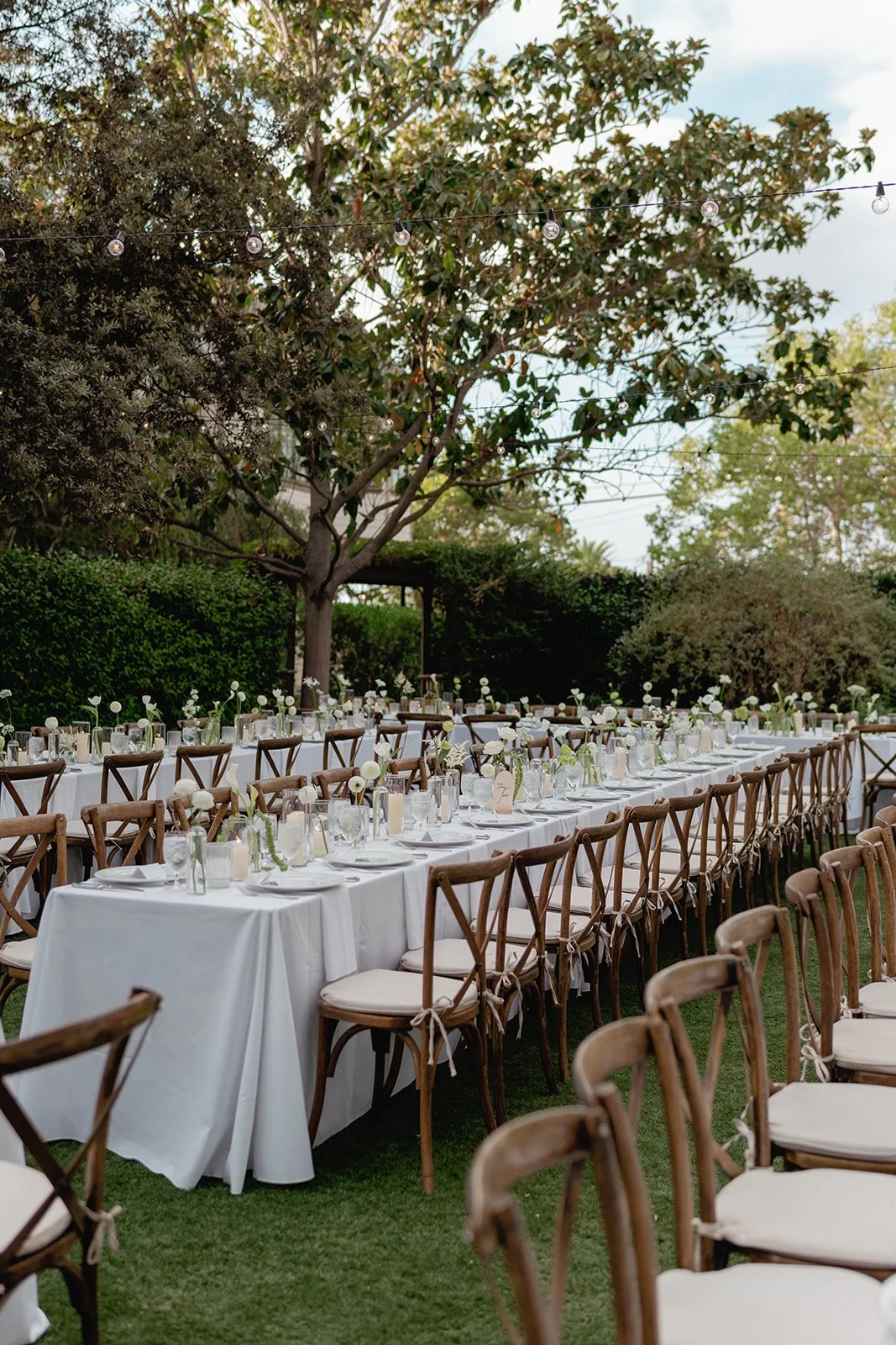 Photo Credit: alyssagaylelawrence