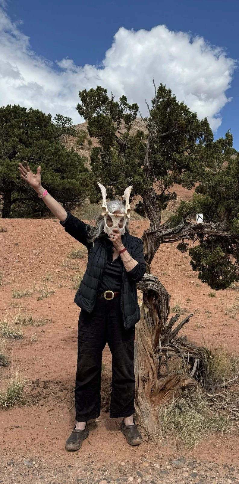 KCM Ghost Ranch campground skull headshot 2025.jpg