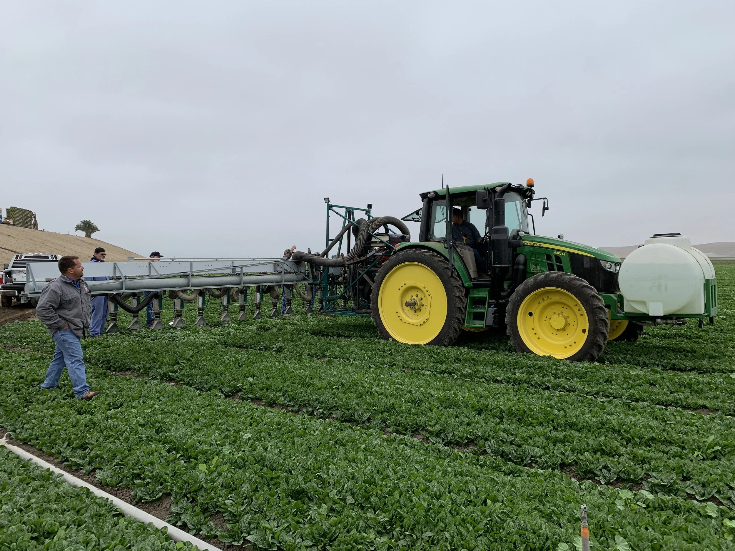 AAPlasma Awarded U.S. Patent for Plasma-Based Food and Produce Disinfection Technology