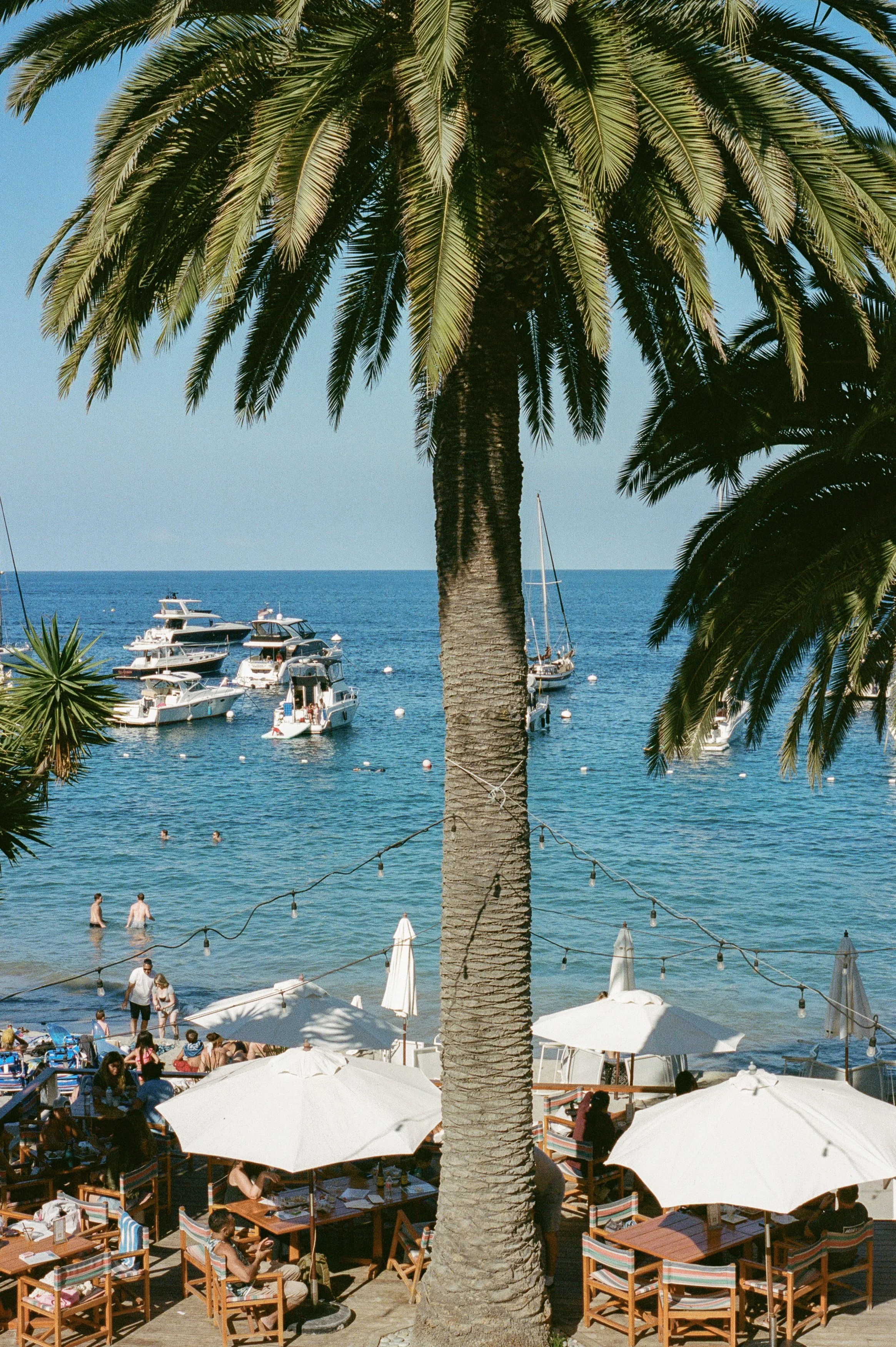 Huxman-Co-Film-Photography-Wedding-Catalina-Island-California-32.jpg