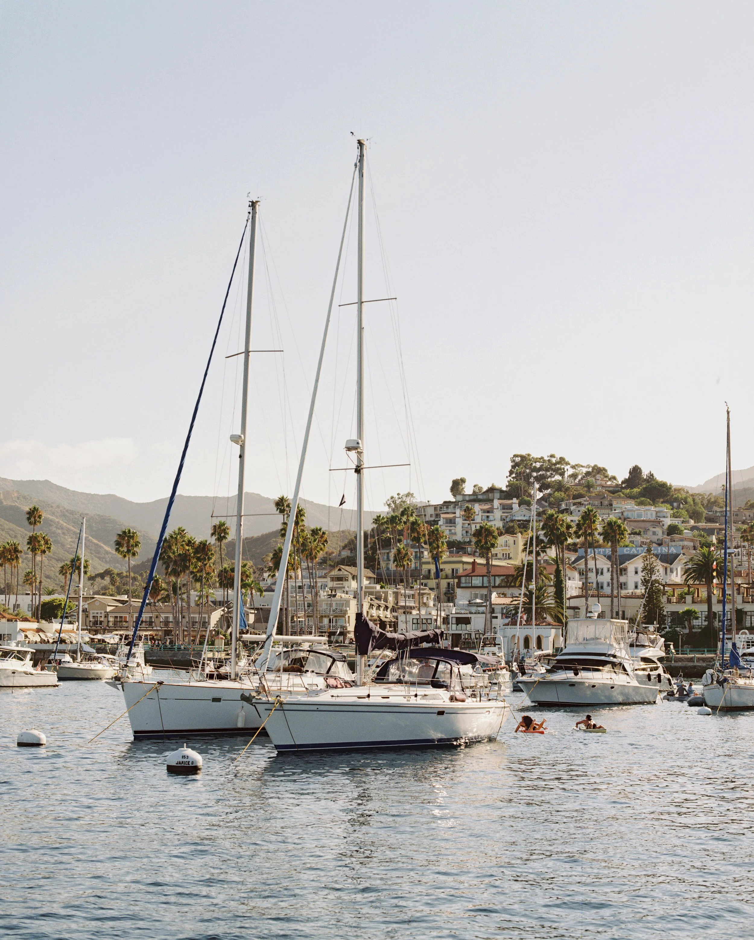 Huxman-Co-Film-Photography-Wedding-Catalina-Island-California-1.jpg