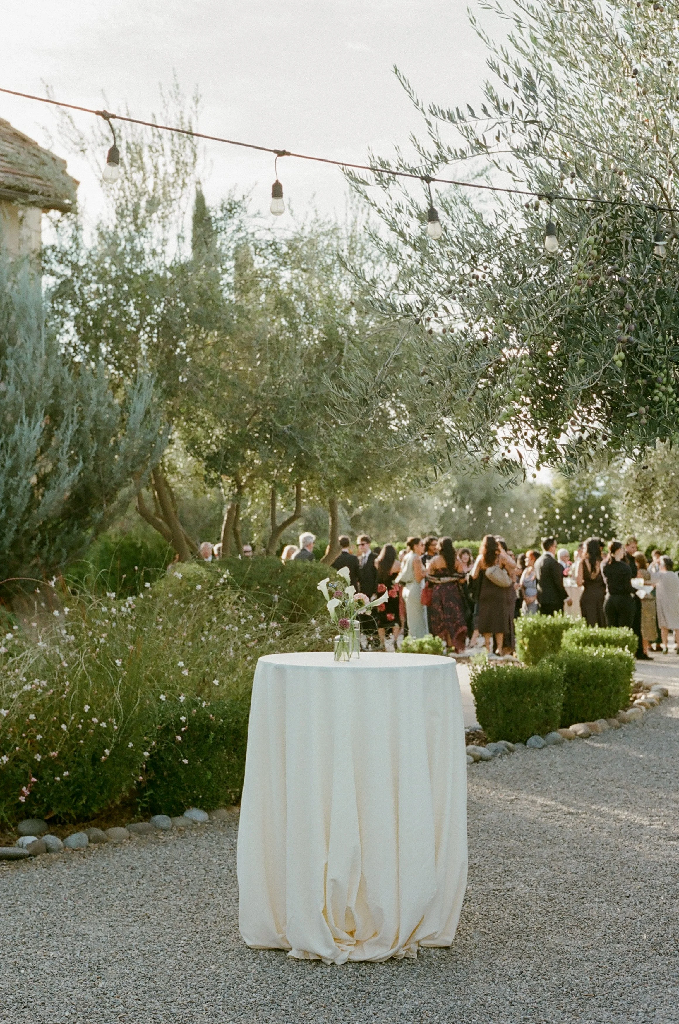 Huxman-Co-Film-Photography-Wedding-Allegretto-Paso-Robles-26.jpg