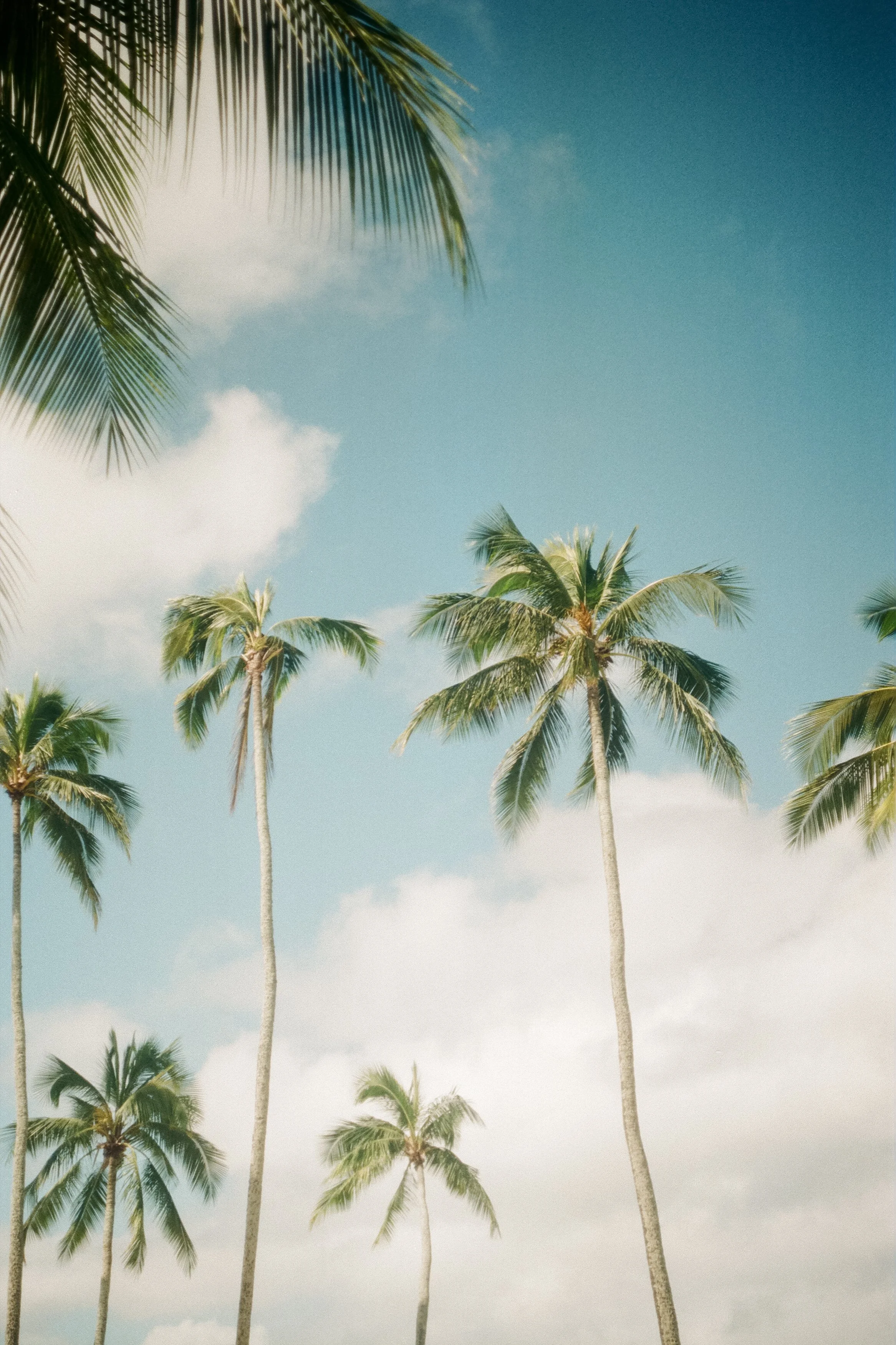 Huxman-Co-Film-Photography-Surf-Lifestyle-Portrait-2.jpg