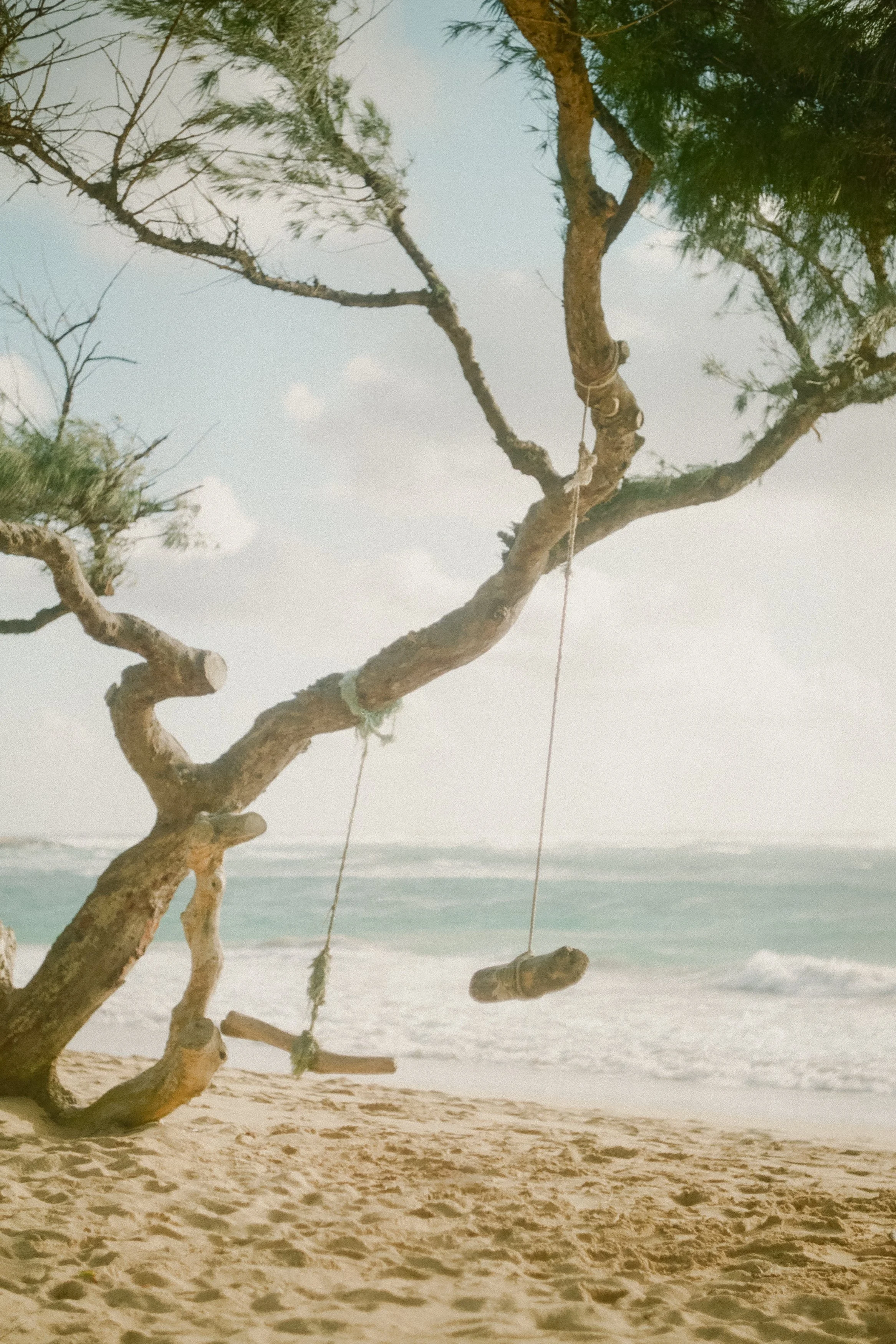 Huxman-Co-Film-Photography-Surf-Lifestyle-Portrait-9.jpg