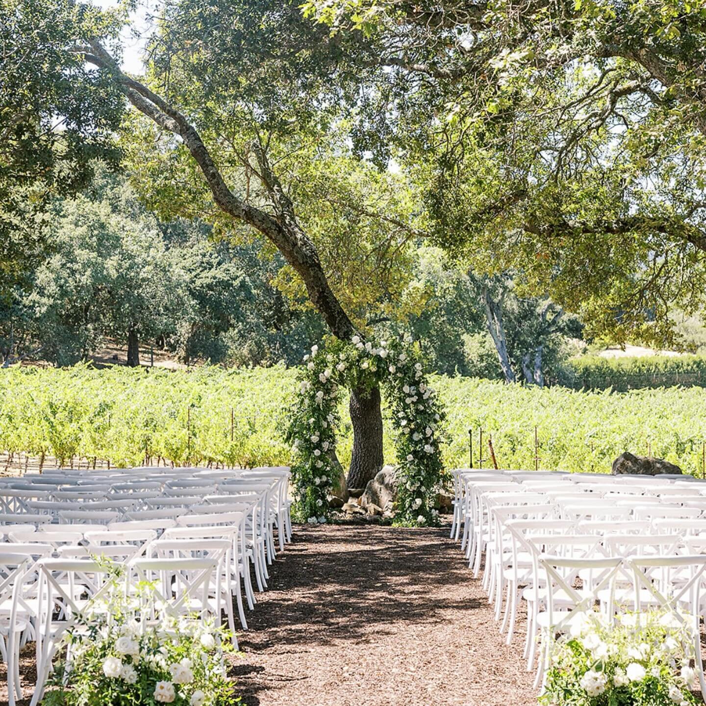 Straight out of a fairytale 🕊️ our private estates our available upon request and are completely worth the view! 

#DreamWeddingVenue #WeddingBliss #LoveInBloom #VenueGoals #PicturePerfectVenue #SayIDoHere #RomanticRetreat #ForeverVenue #WeddingMagi