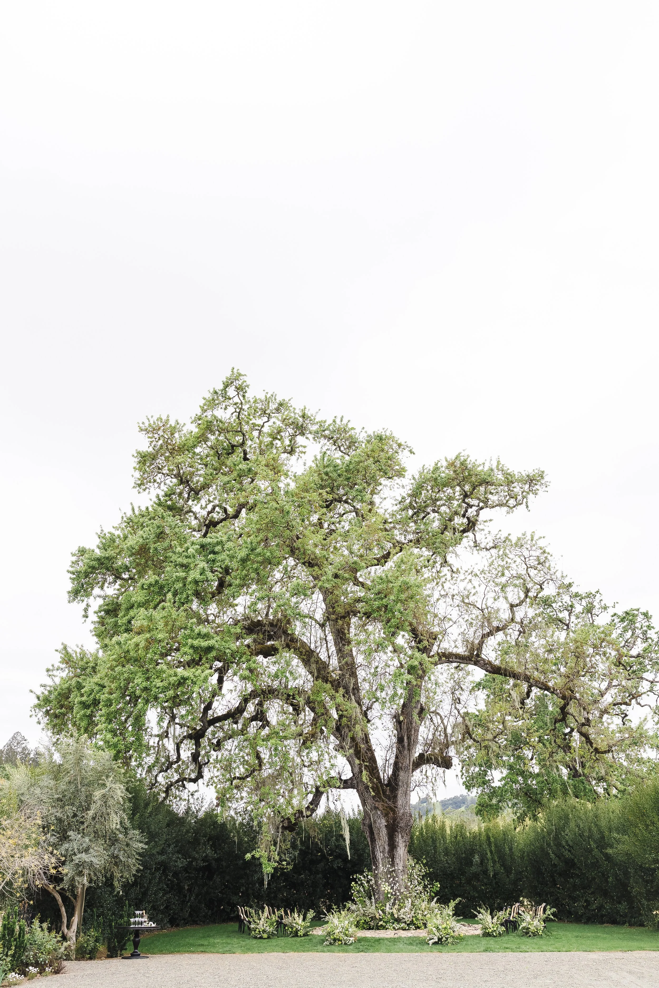 Double-R-Ranch-Napa-Wedding-Photographer-60.jpg