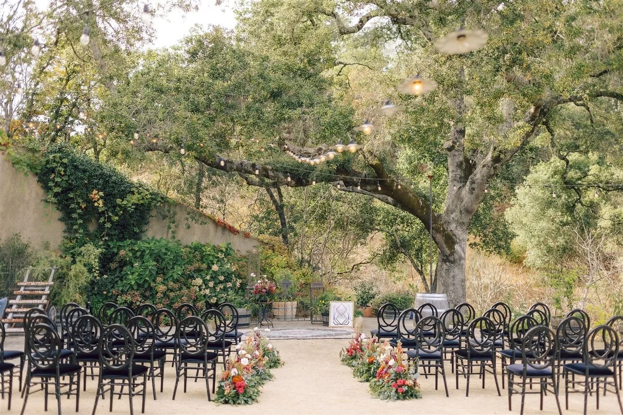 aisle to oak tree.jpg