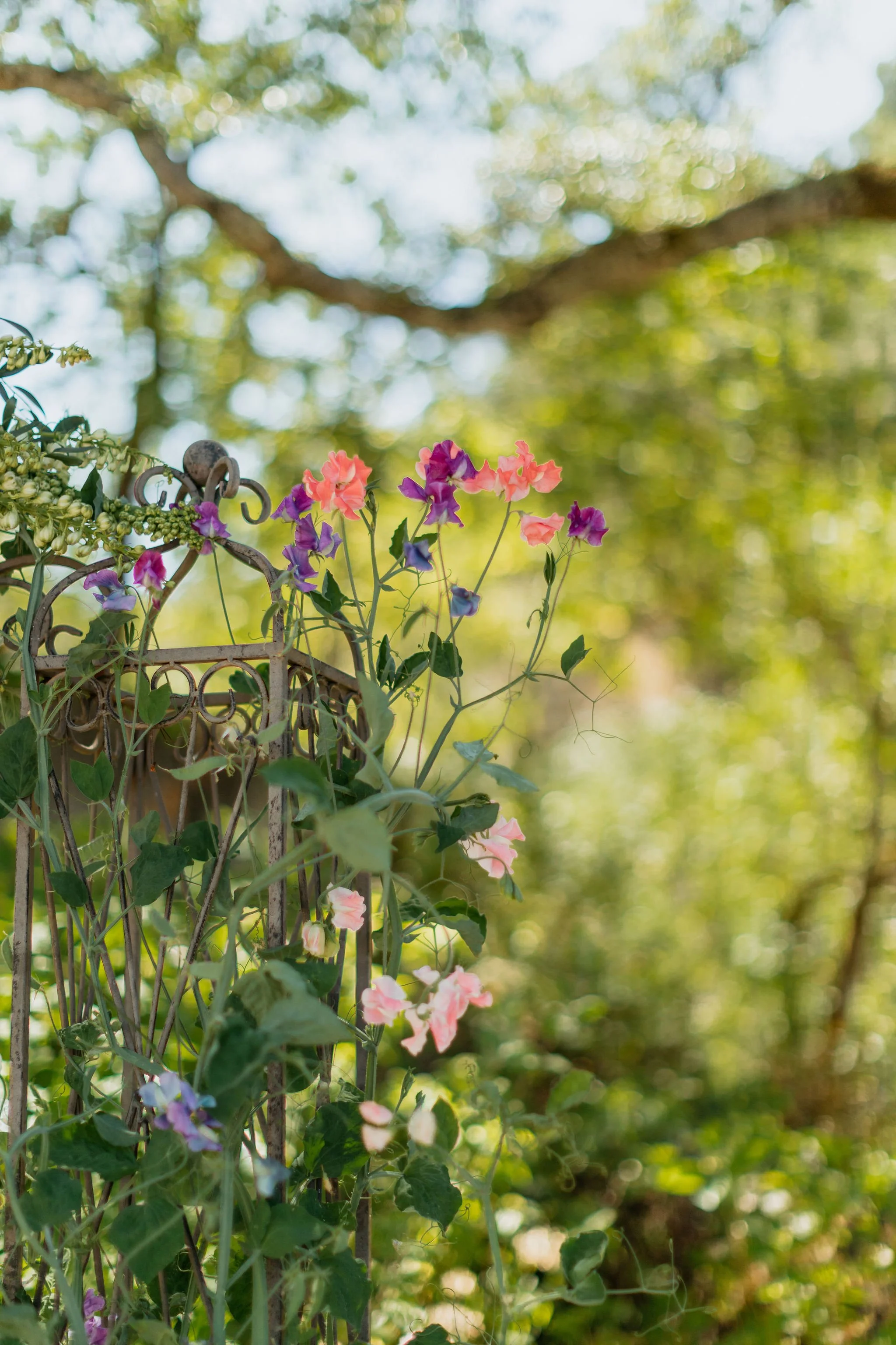 Katie Justin Arch florals web 3.jpg