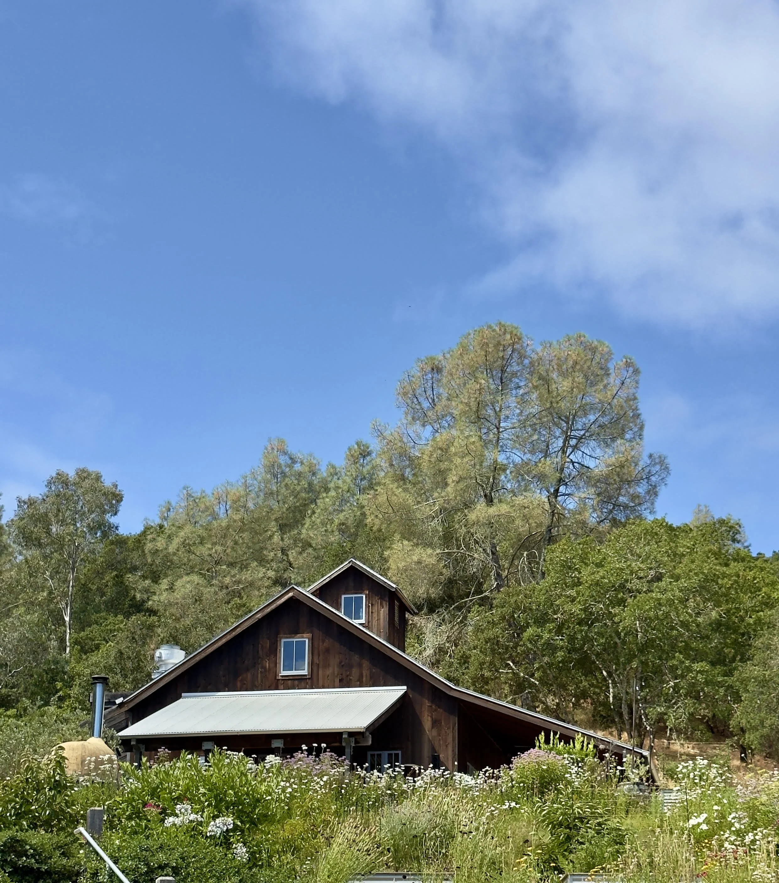 Capo Creek Winery &amp; Caves