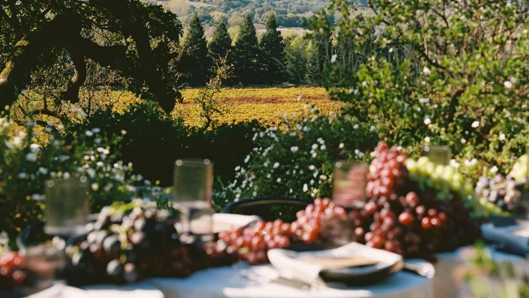 Estate terrace arranged for a group gathering at a wine country corporate retreat venue