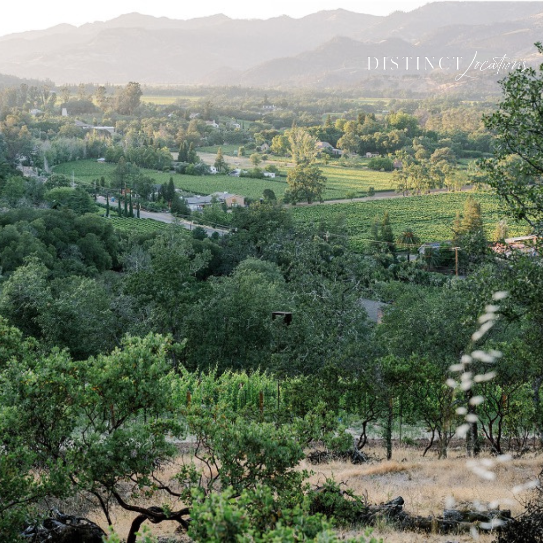 What Makes a Wedding Venue Truly Unique? Inside Luxury Private Estates&nbsp;