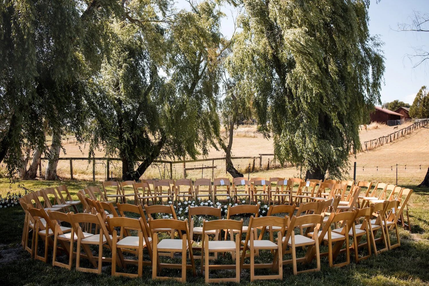 Willow Lawn JadeTurgelPhotography-0816.jpg