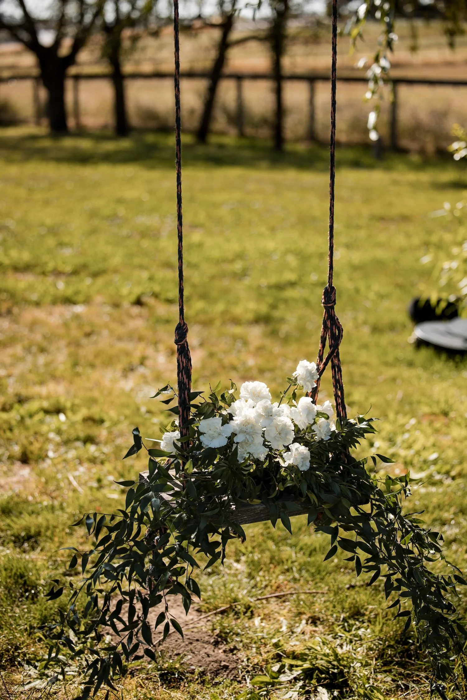 Olive Grove JadeTurgelPhotography-5470.jpg