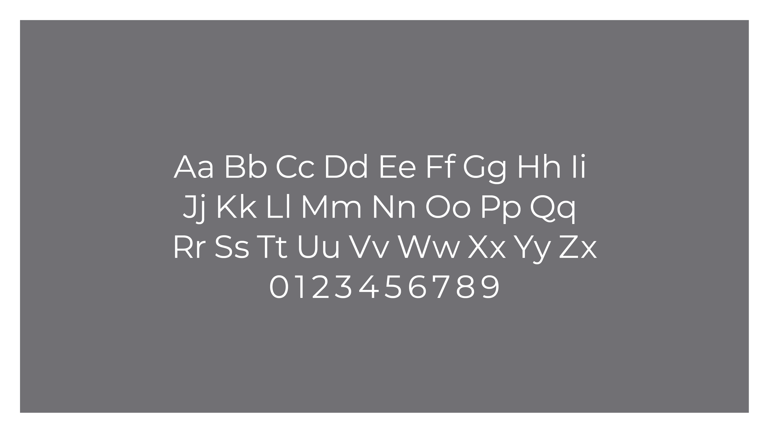 RT-PrimaryType copy.png