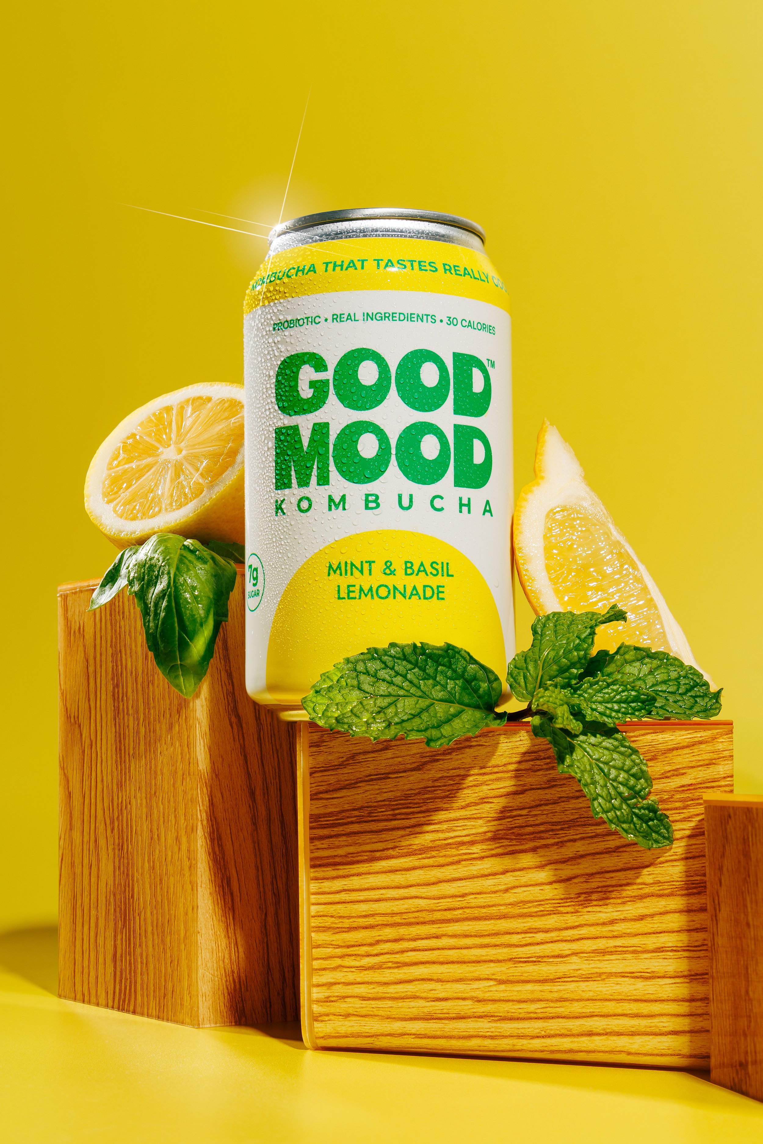 goodmoodkombucha_feb26_sm_024.JPG